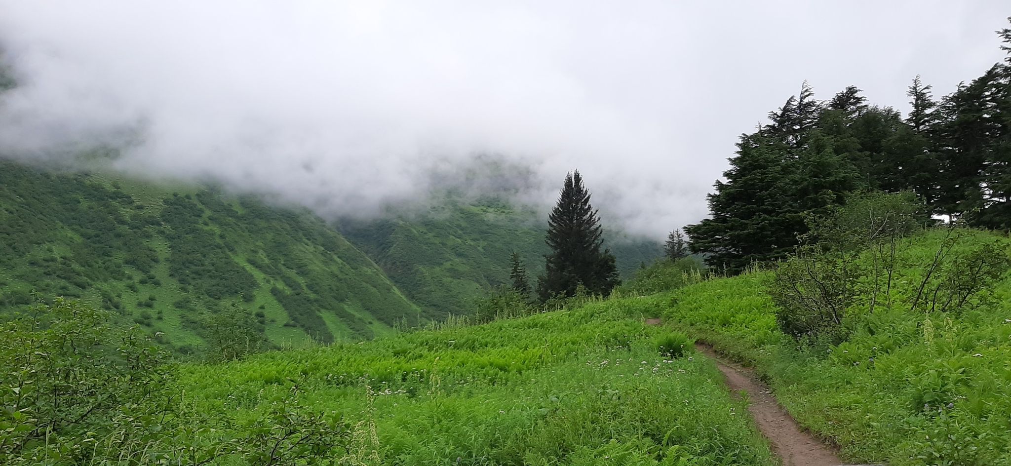Dirt path winding through a lush green valley with misty mountains and evergreen trees. - Lost Lake Winter Route and Clemens Cabin Access Trail