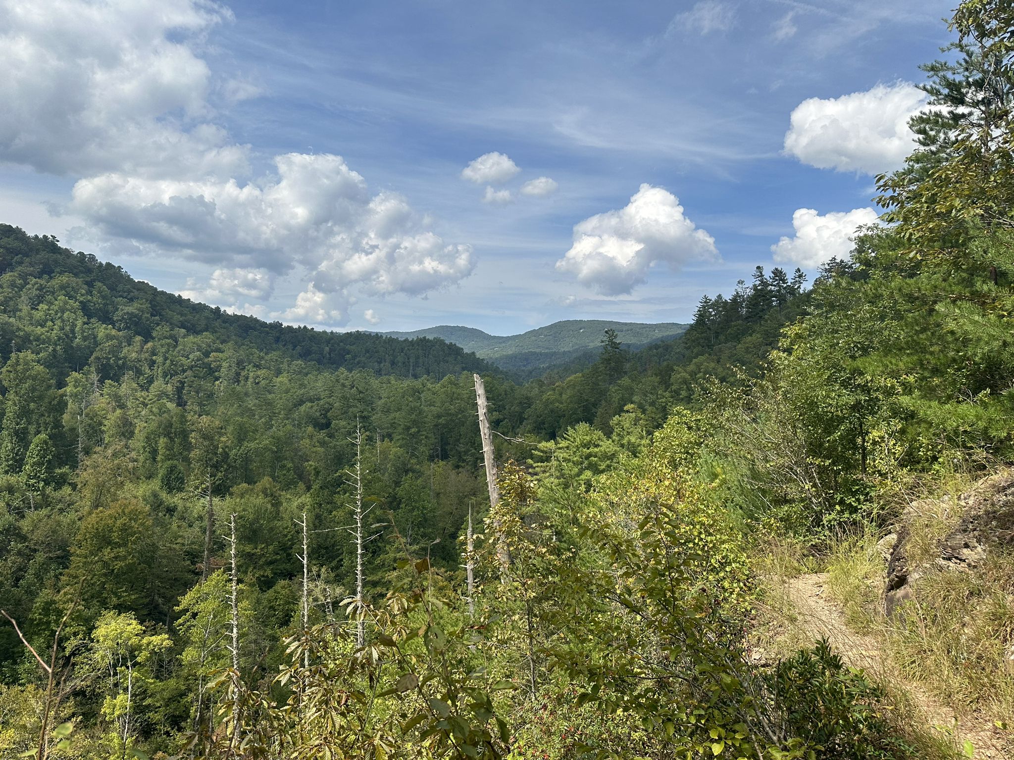 Lush green forested mountains and valleys under a bright, partly cloudy sky. - Abrams Falls and Rabbit Creek Loop