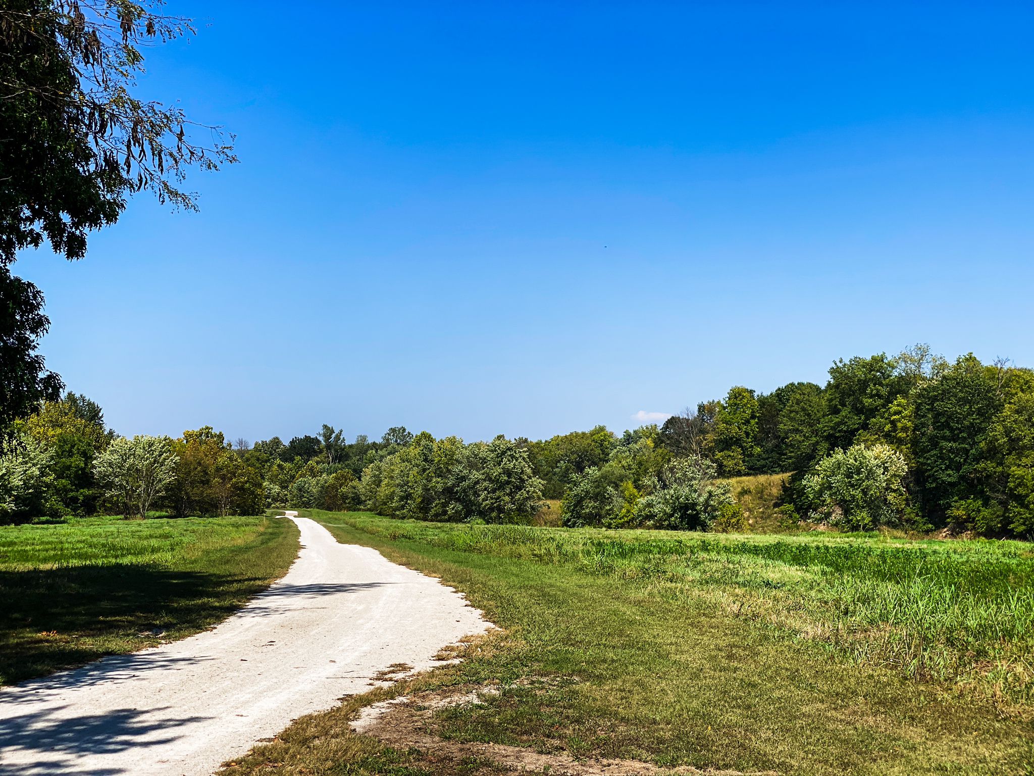 A winding dirt path through green fields under a clear blue sky. - Little Blue Trace Trail