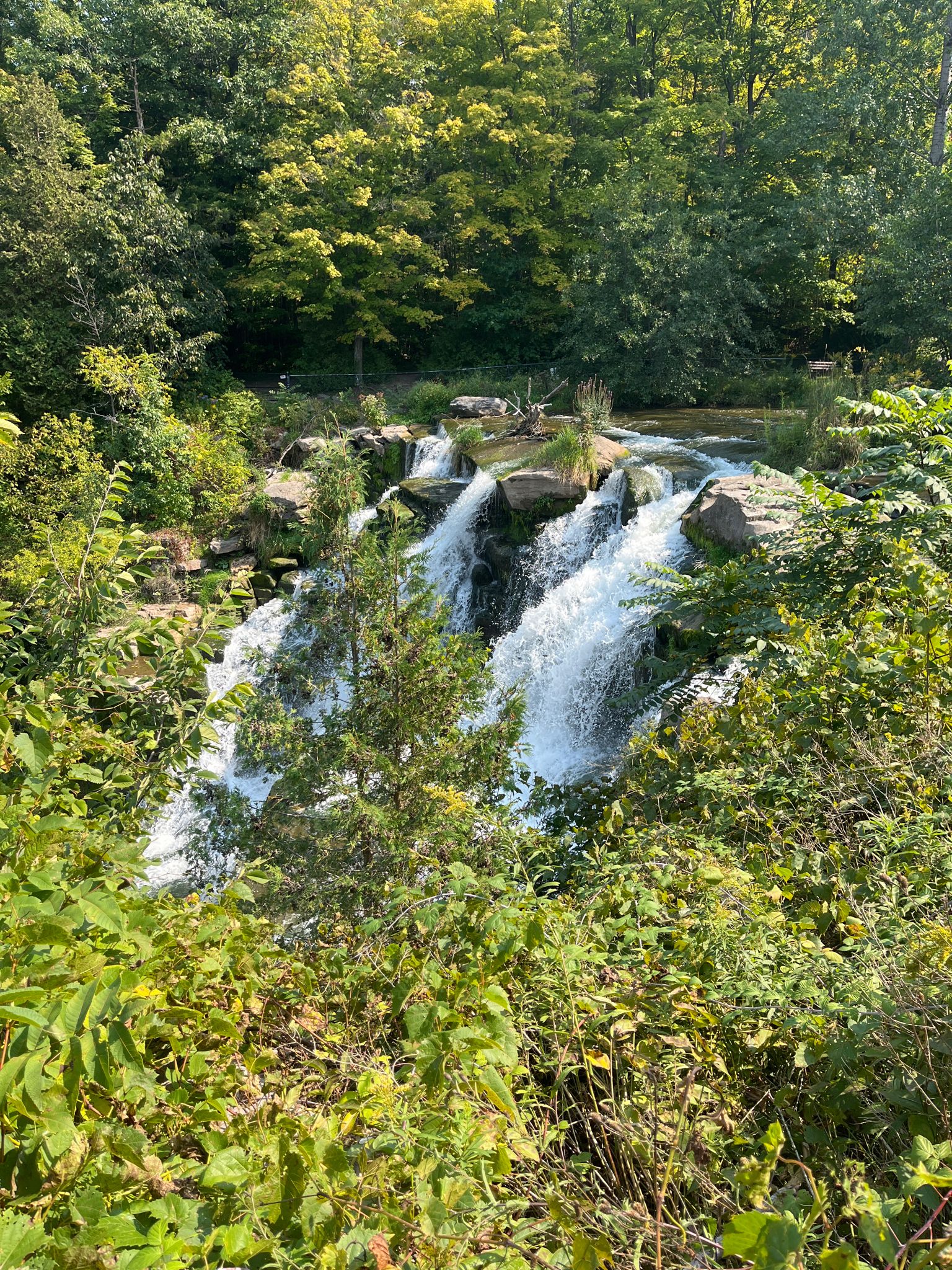Bright waterfall cascades over rocks amidst lush green forest on a sunny day. - Gorge Trail