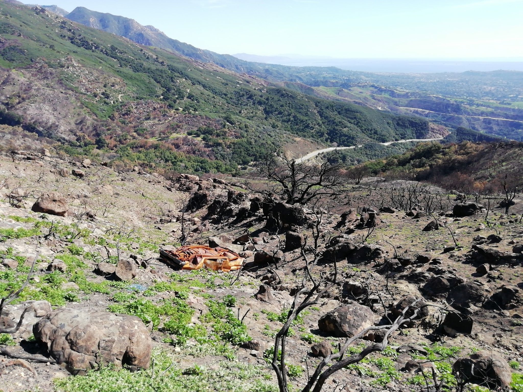Sunny view of a recovering burned hillside with a valley and mountains. - La Cumbre Peak loop