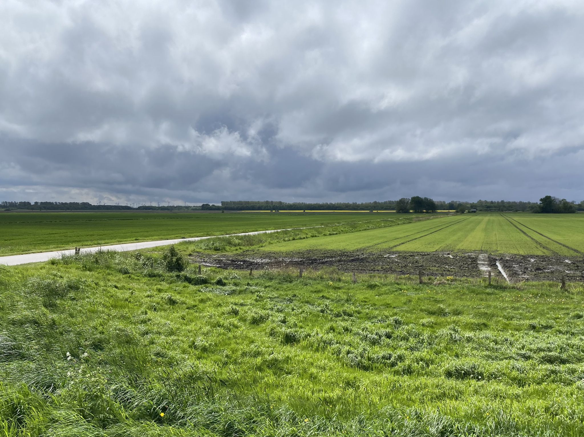Da ziehen wieder dunkle Wolken auf
