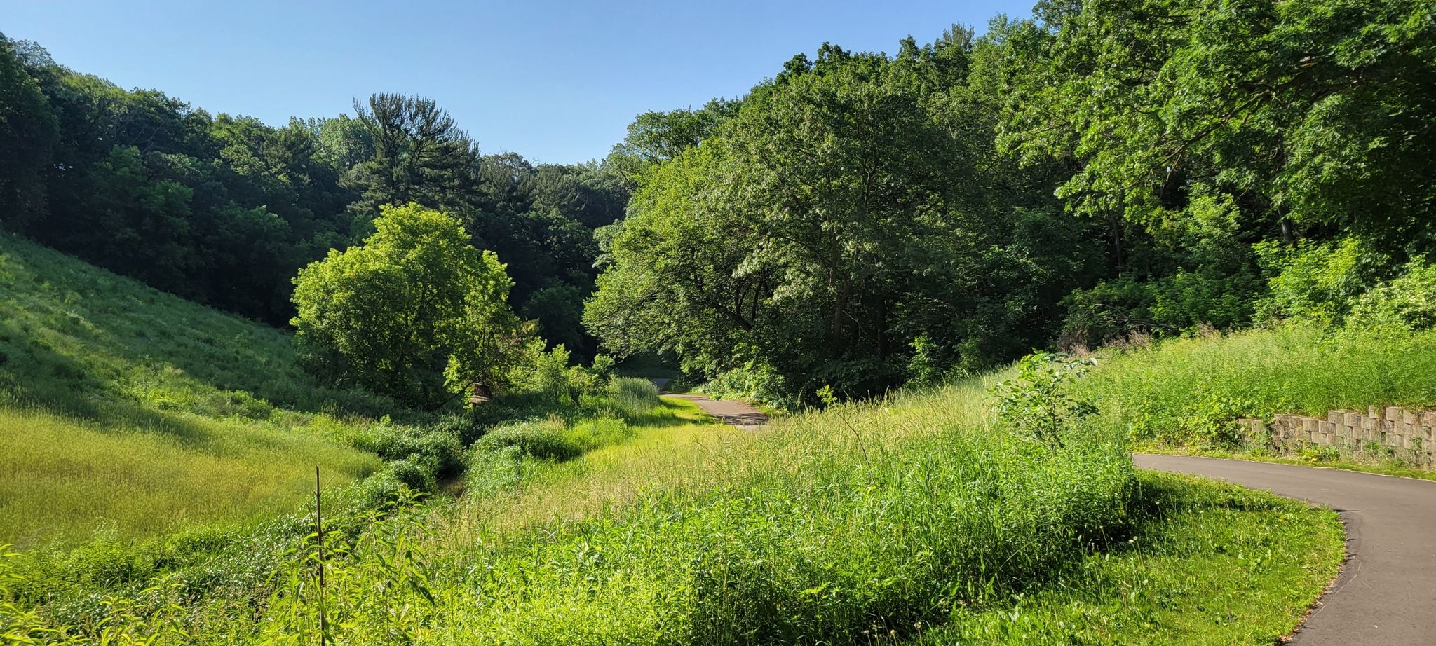 A paved path winds through a lush green valley with dense forest. - Point Douglas Trail