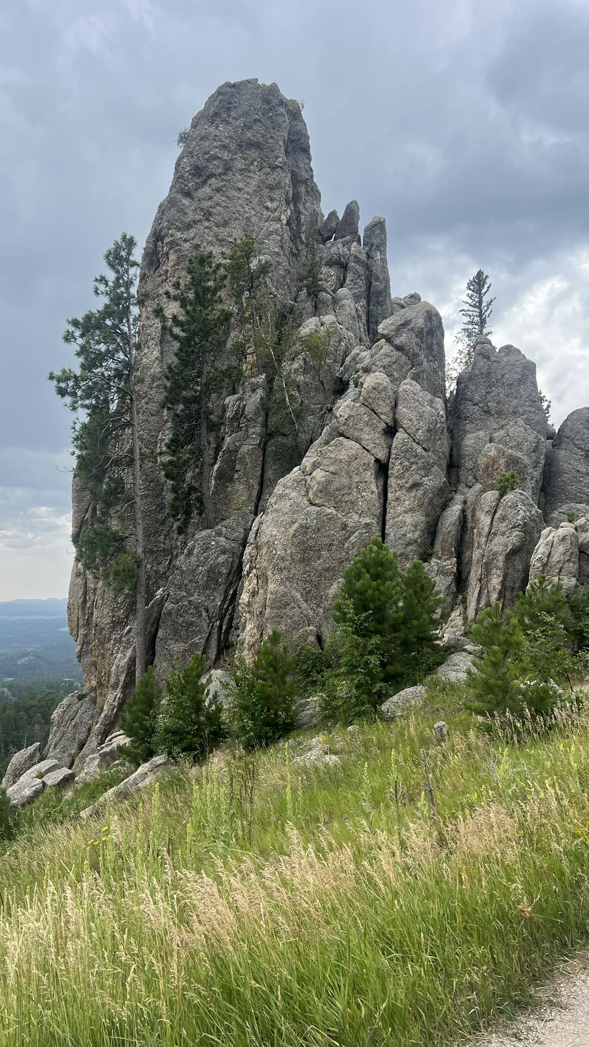 Massive, jagged rock formations rise from a grassy hillside under a cloudy sky. - Sylvan Lake – Needles Highway loop from Keystone