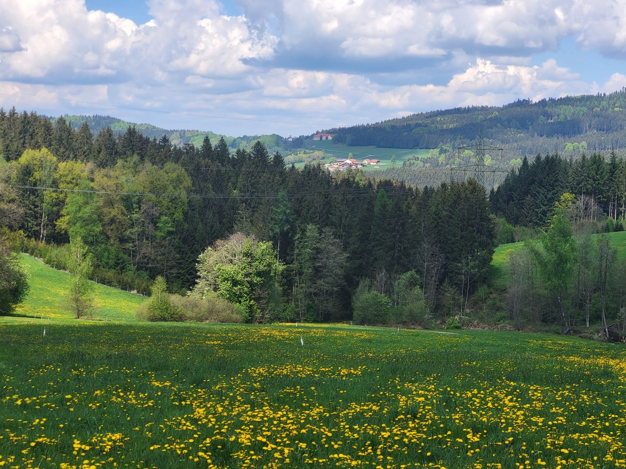 Goderer in Vichtenstein