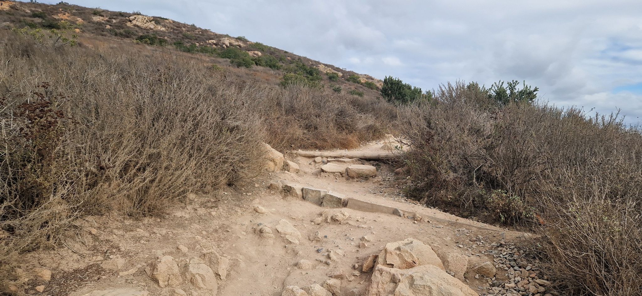 A dirt path with wooden steps ascends a dry, brush-covered hill under a cloudy sky. - Cowles Mountain Trail