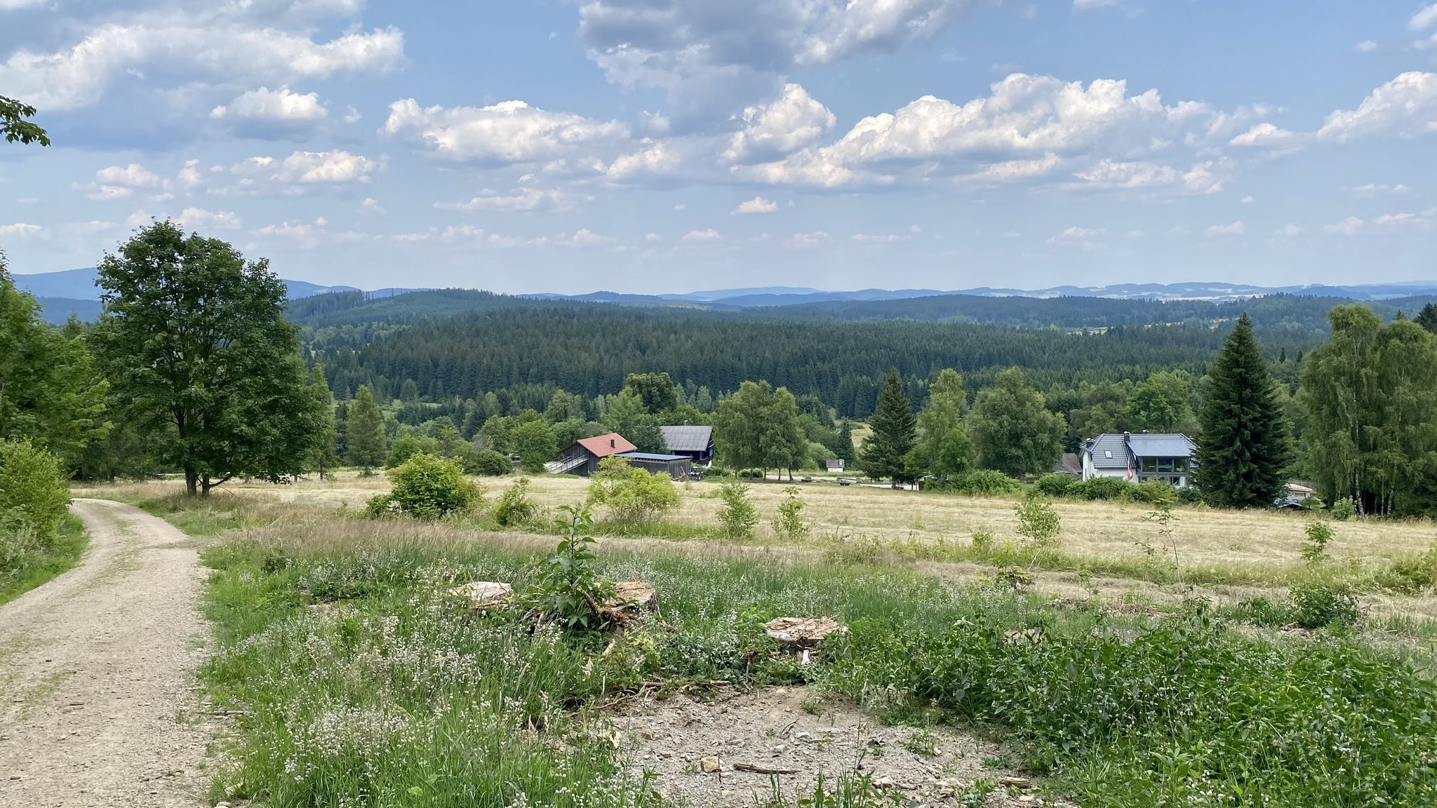 Sonnenwald - Blick zurück nach CZ
