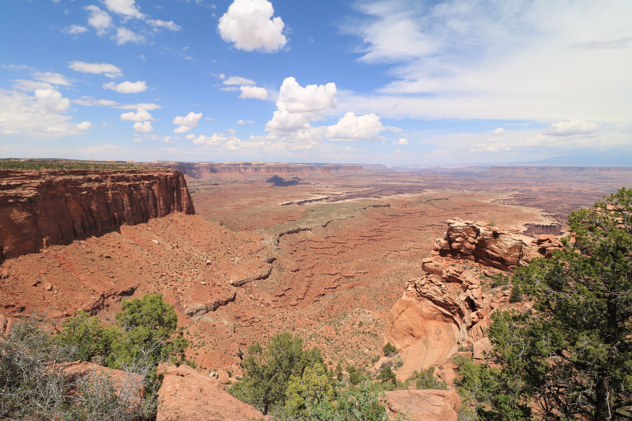 Wide canyon vista with red rock cliffs, green trees, and cloudy sky. - White Rim Overlook Trail