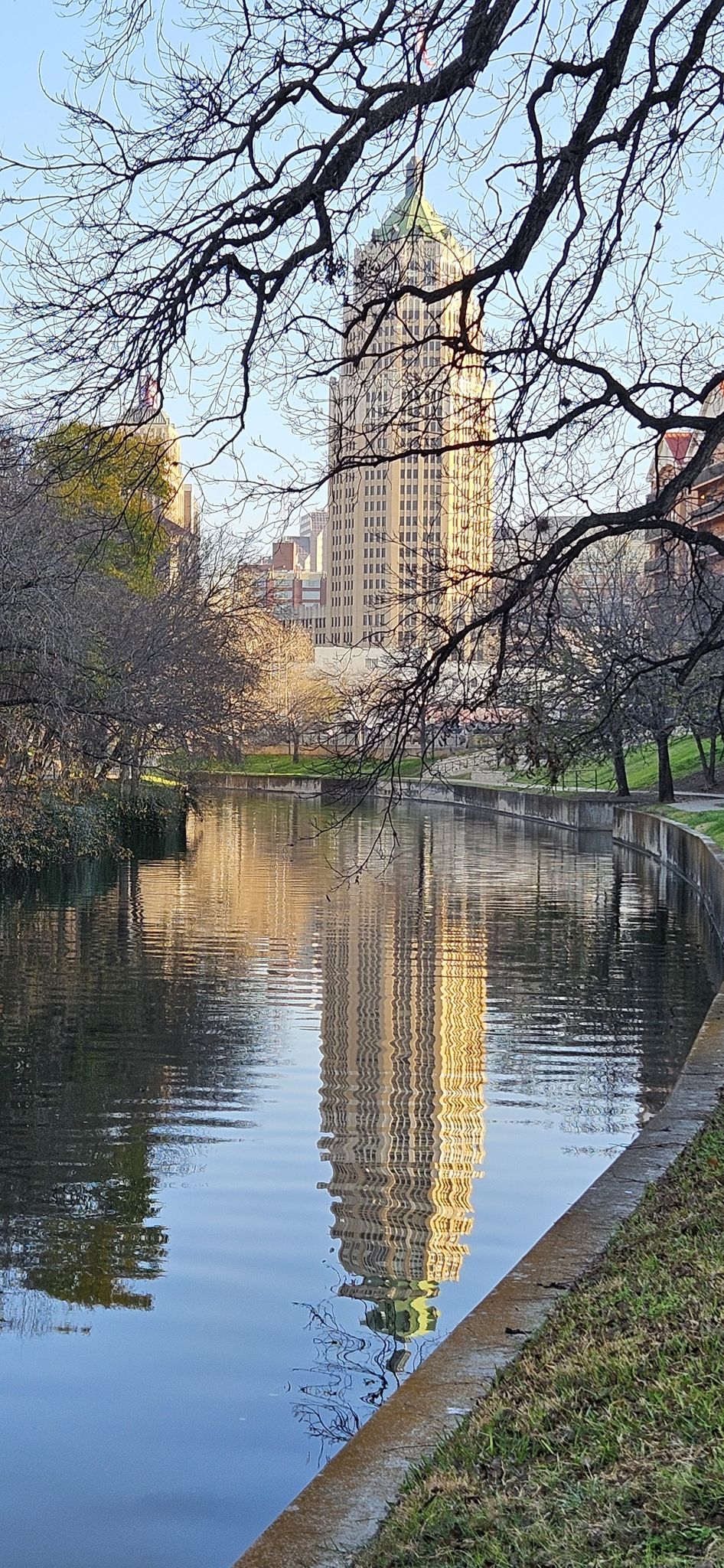 A tall building reflects perfectly in a calm river, framed by bare trees. - San Antonio River Walk – Bexar County Courthouse loop from San Antonio