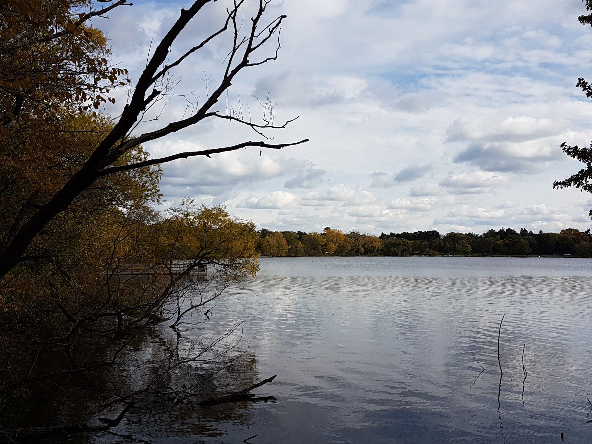 Lake with autumn trees, dark branches, and a cloudy sky. - Grand Rounds National Scenic Byway