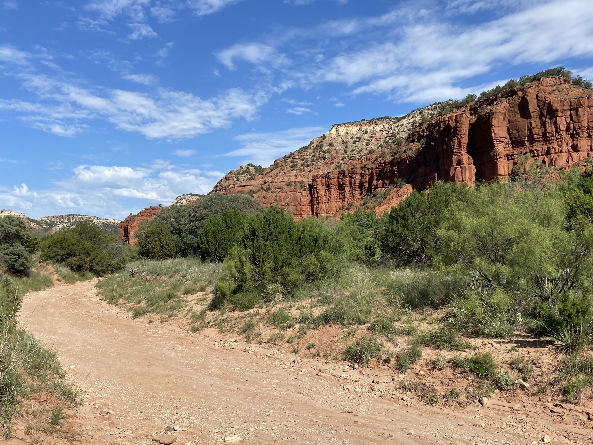 Dirt path winding through green bushes with red rock cliffs under a blue sky. - Upper Canyon and Lower Canyon Loop
