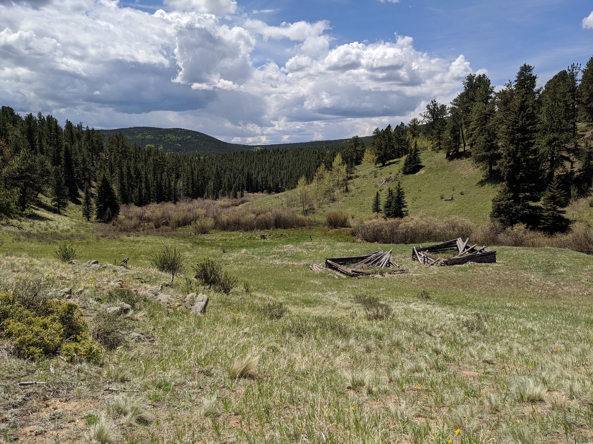 A grassy valley with old wooden structures, surrounded by pine-covered hills. - Mount Thomas & Mule Deer Trail loop from Golden Gate Canyon Visitor Center