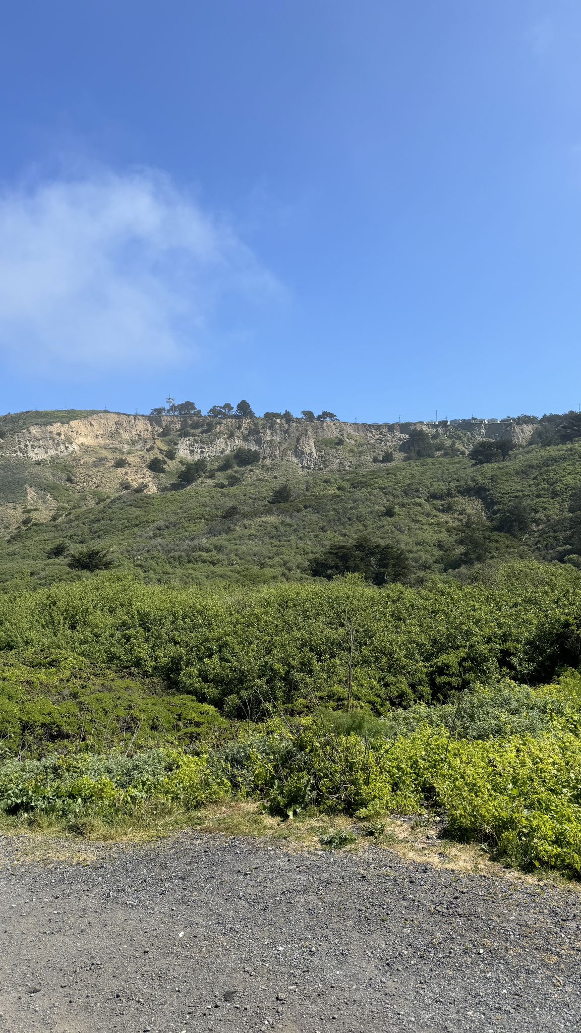 Lush green hillside with a rocky cliff face under a clear blue sky. - Mussel Rock Trail