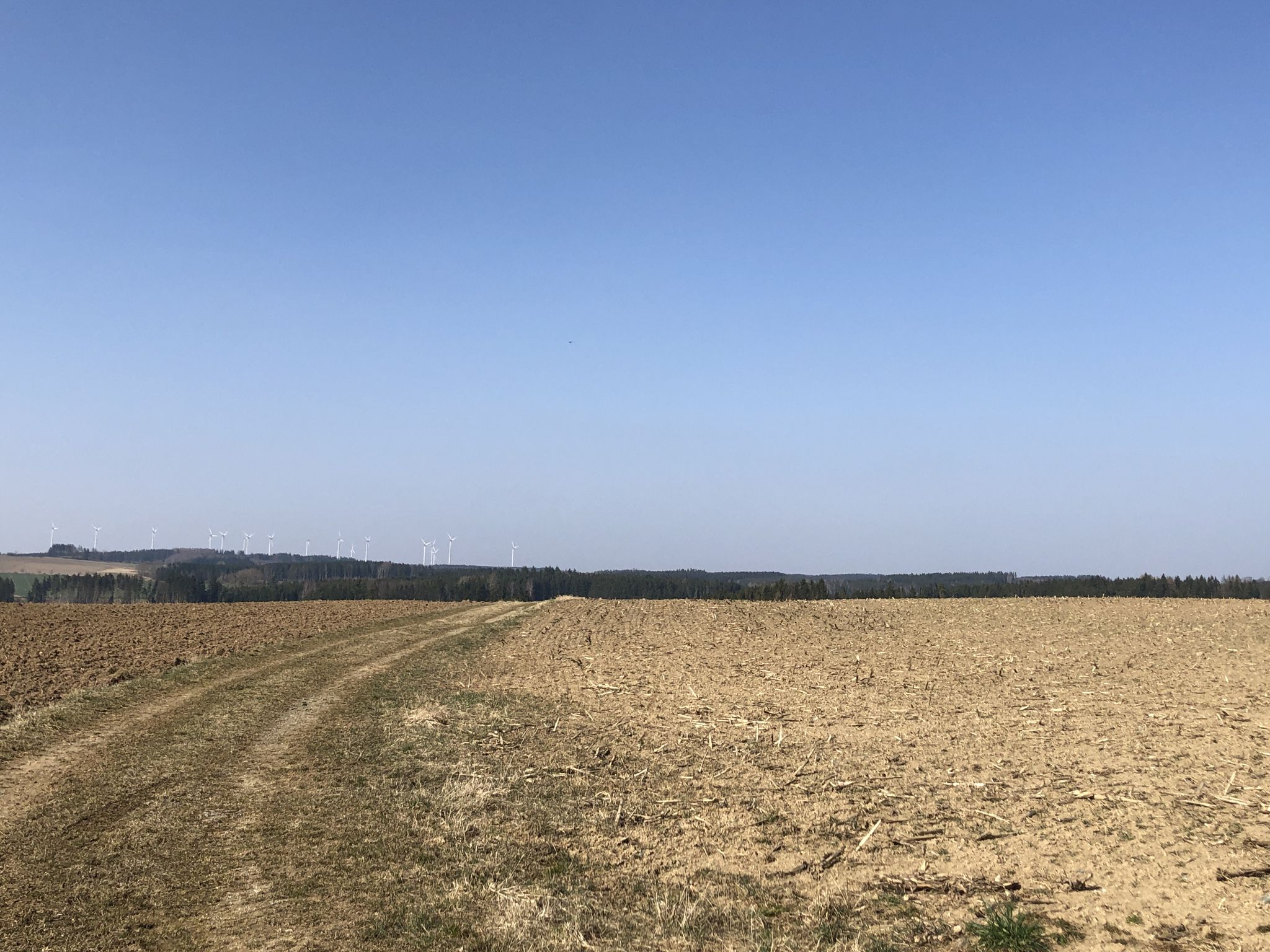 In weiter Ferne die Windräder bei Münchenreuth/Mißlareuth/Gebersreuth