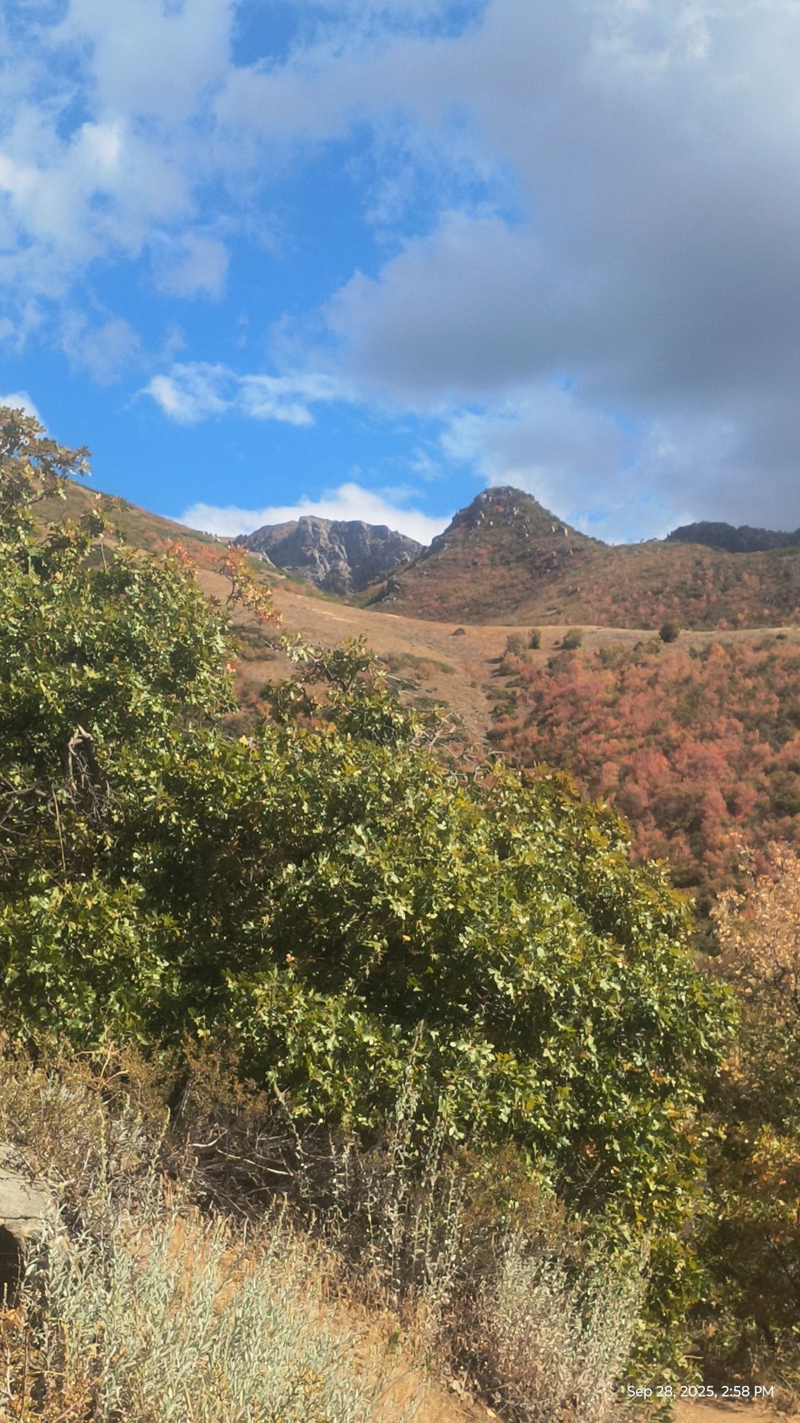 Mountainous landscape with green and autumn-colored trees under a partly cloudy sky. - Bonneville Shoreline Trail