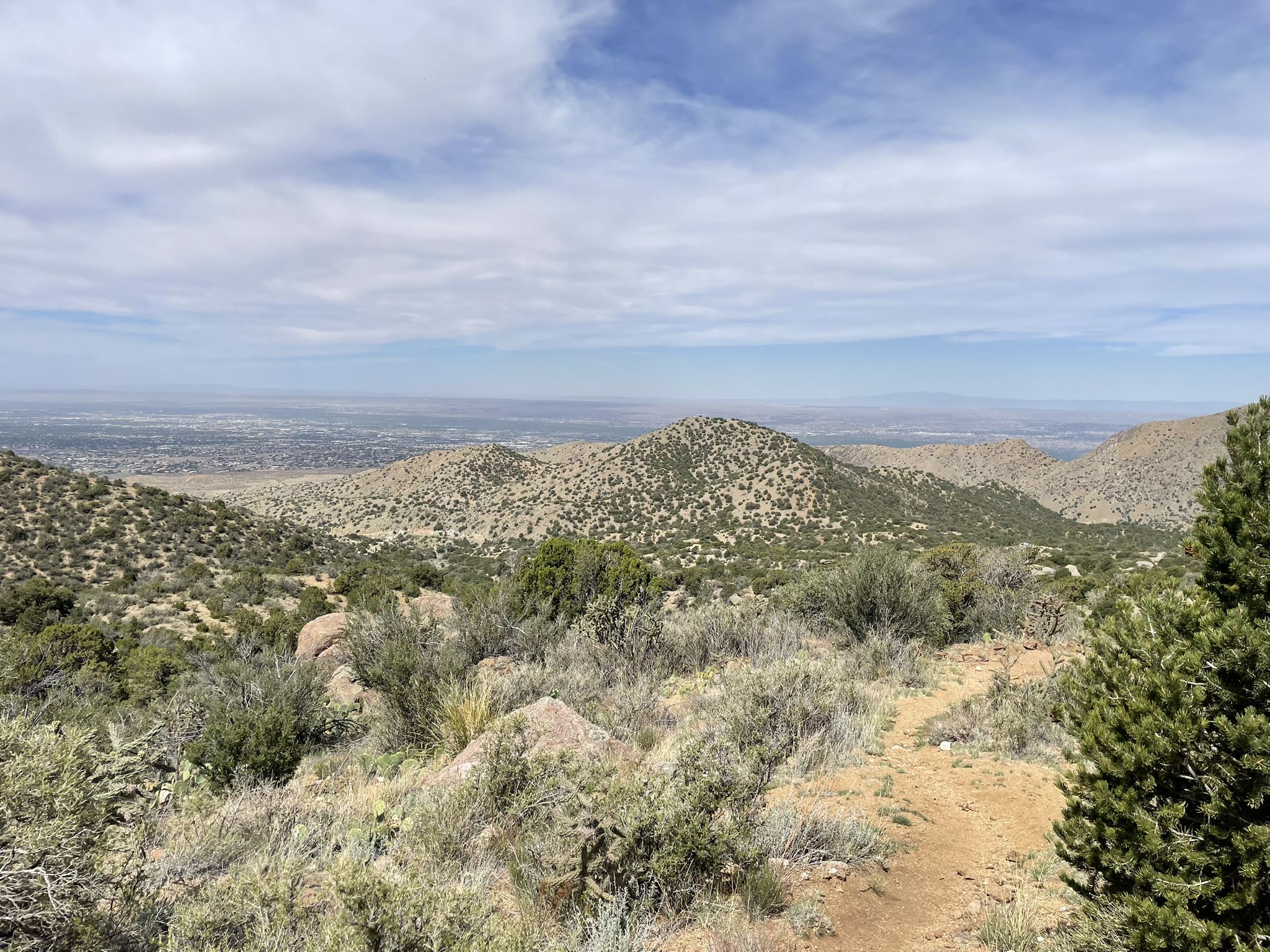 A dirt path through green shrubs with distant hills and a cloudy sky. - La Luz Trail