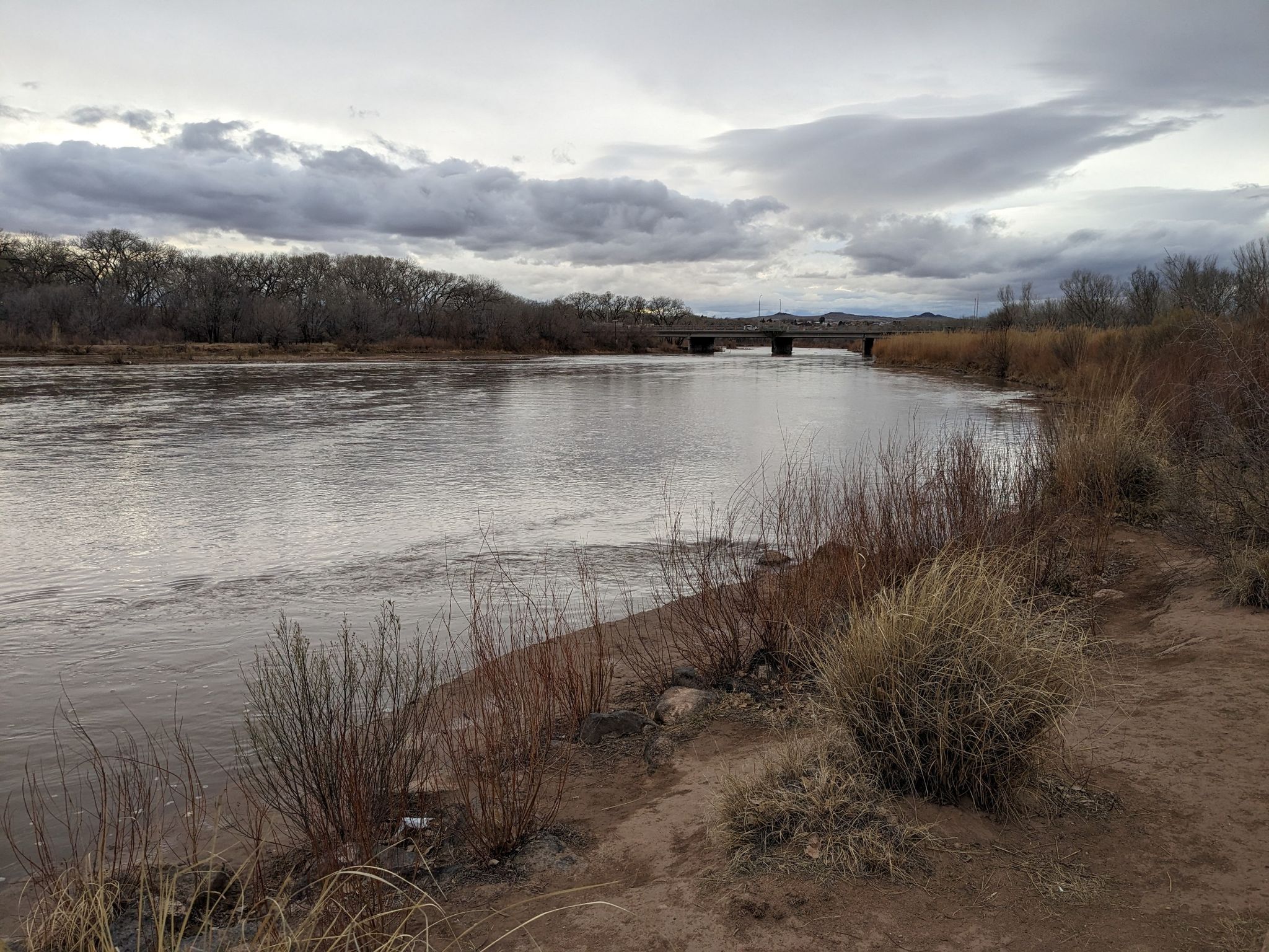 Wide river flowing under a distant bridge on a cloudy day. - Paseo del Bosque Trail