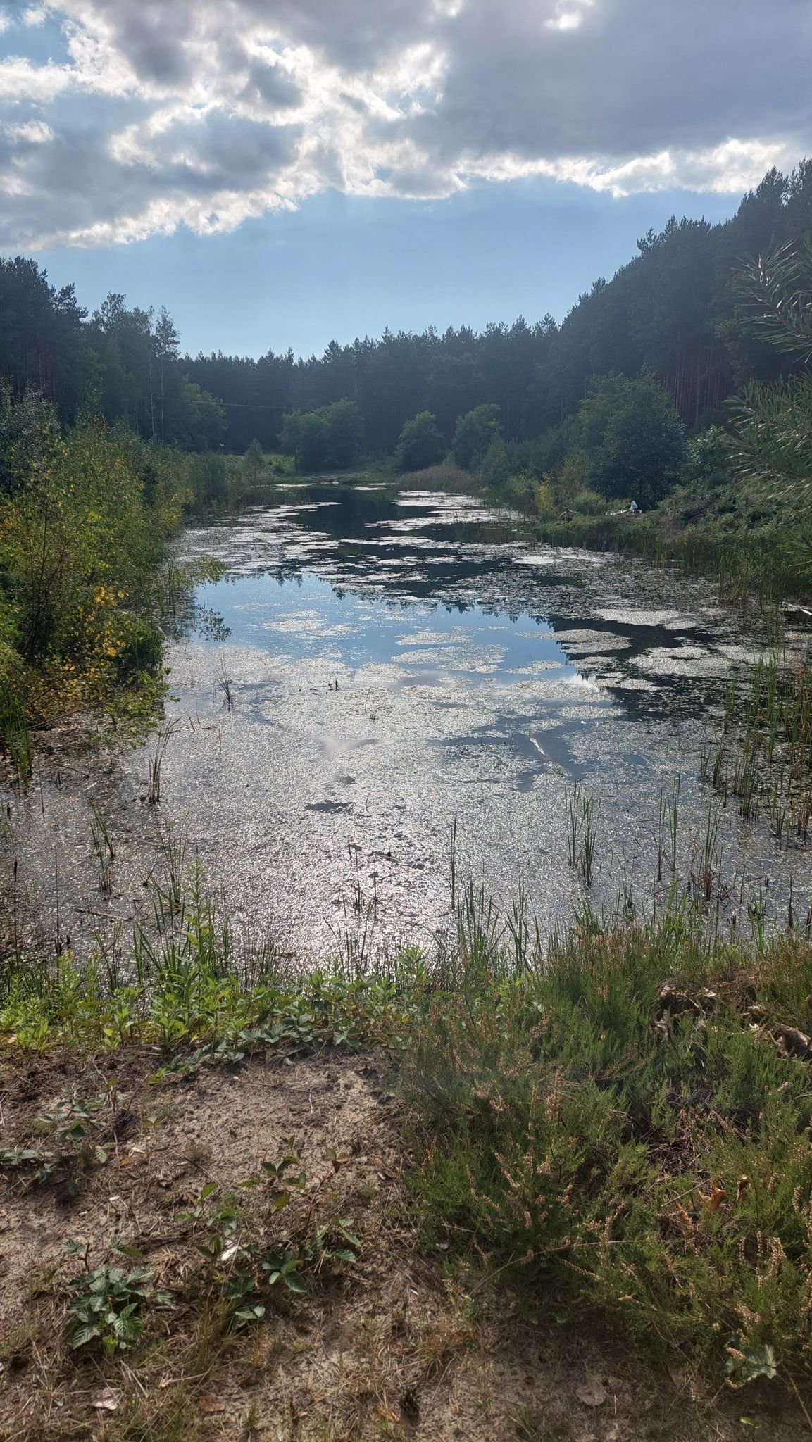 Cisza, spokój ...