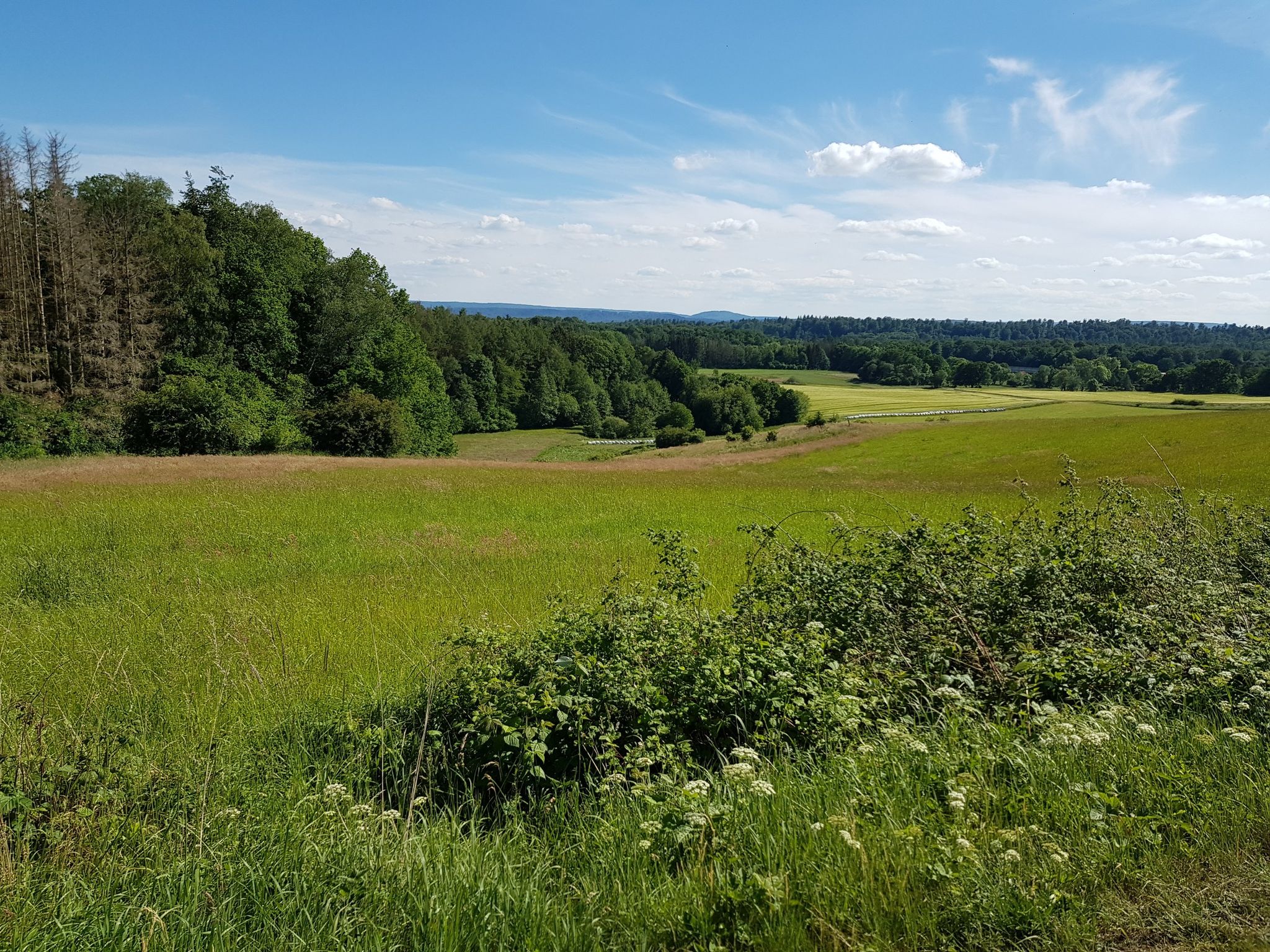 traumhafte Landschaften 😀👌