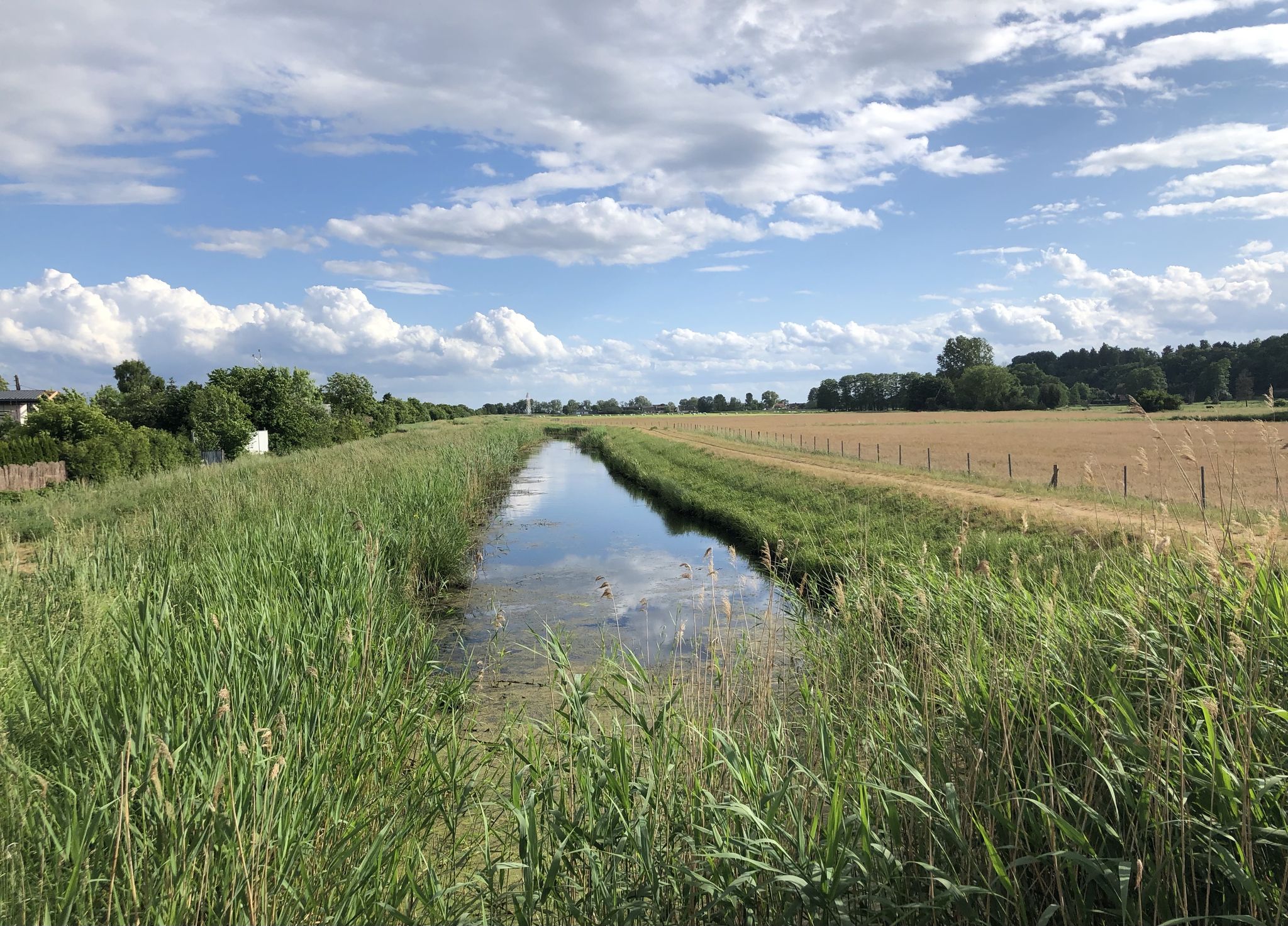 Torfgraben - Grenzverlauf zwischen DE und PL