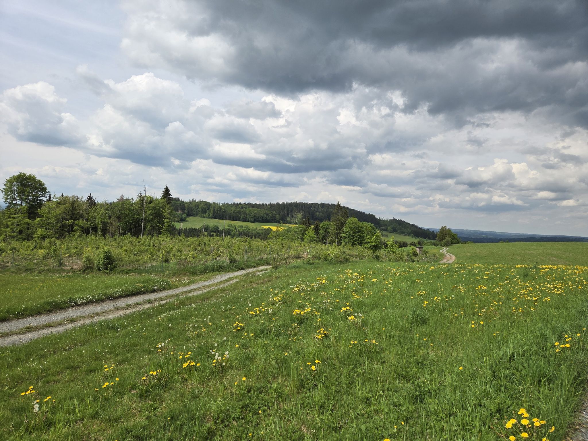 Weitblick