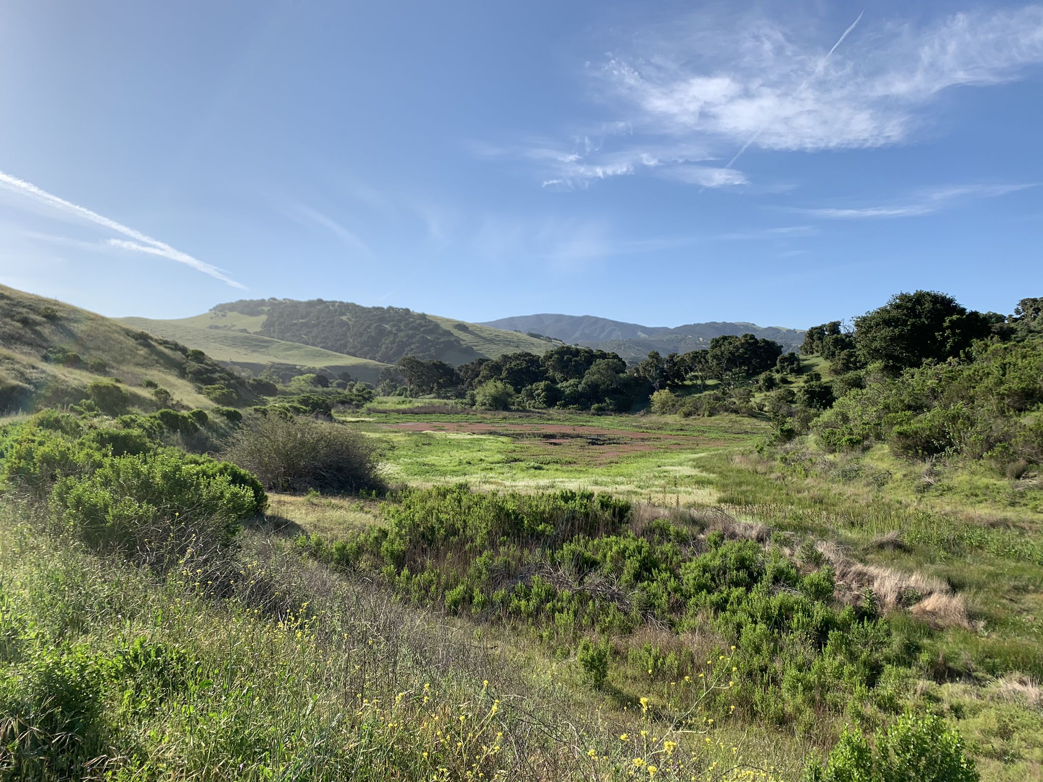 Lush green valley with rolling hills under a bright blue sky. - Goat Trail loop