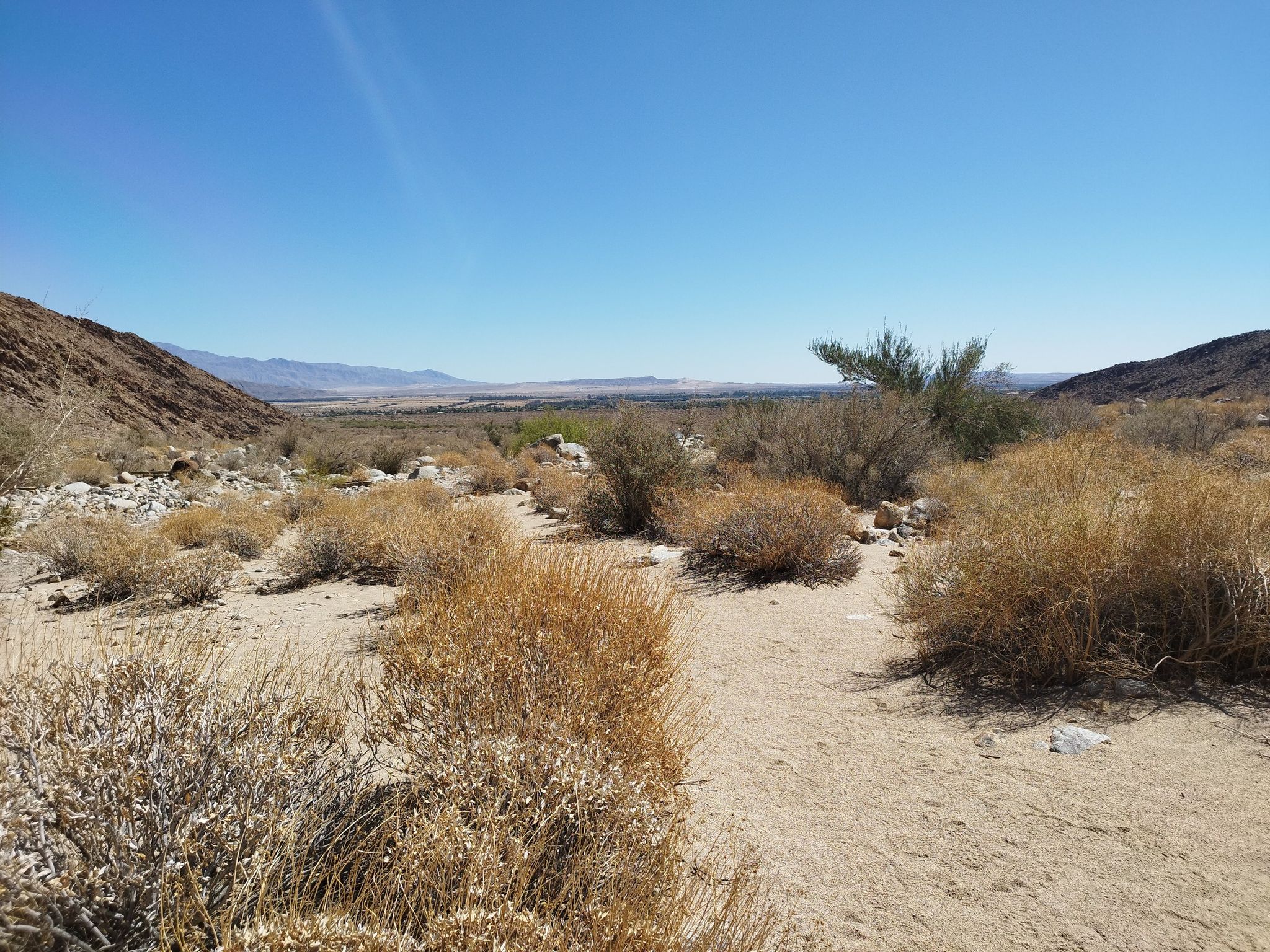 Dry desert landscape with sparse bushes and distant mountains under a clear sky. - Borrego Palm Canyon Trail