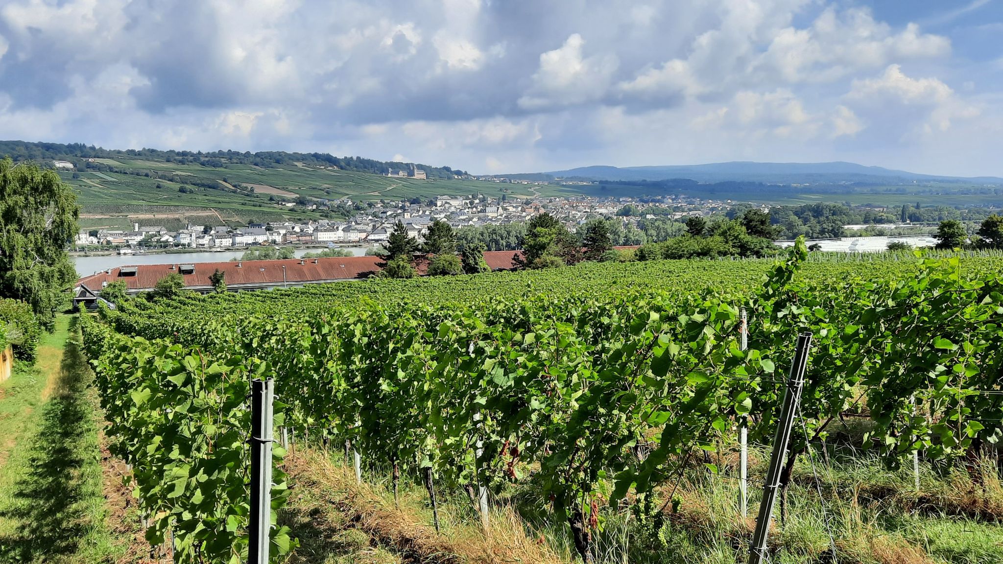 Blick über den Rhein nach Rüdesheim mit Abtei St. Hildegard