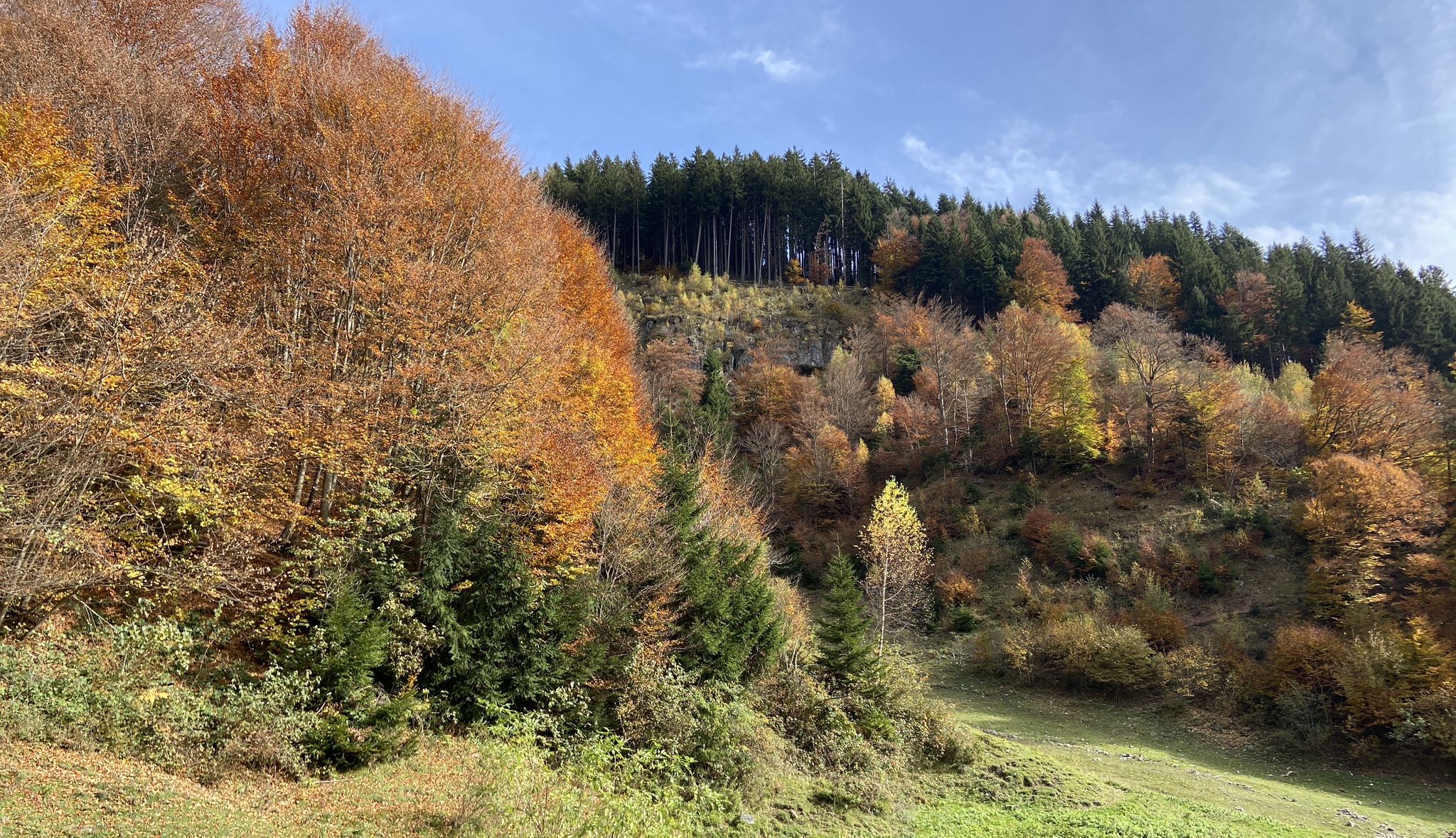 Herbstfarben