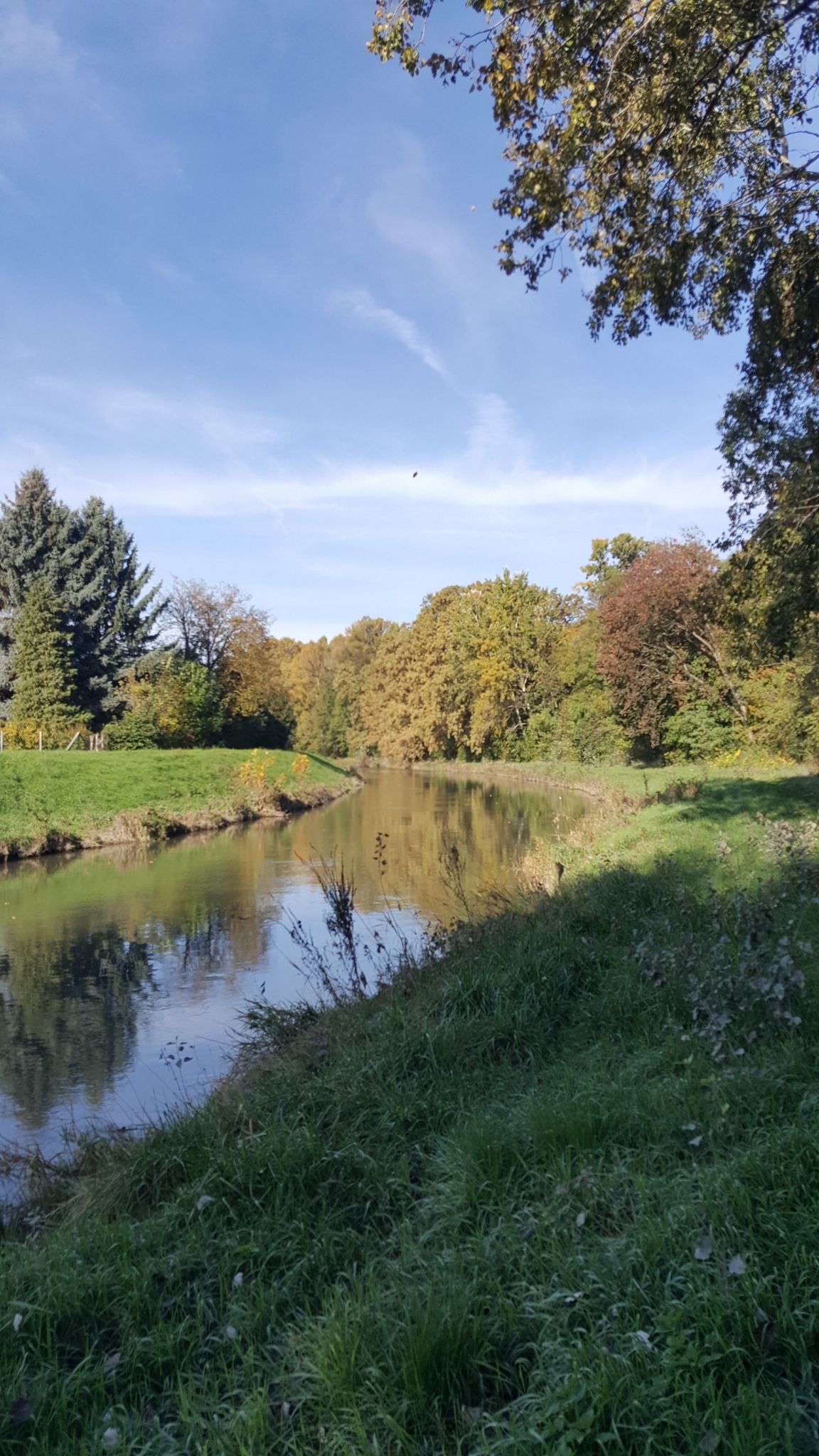 őszi látvány - autumn view