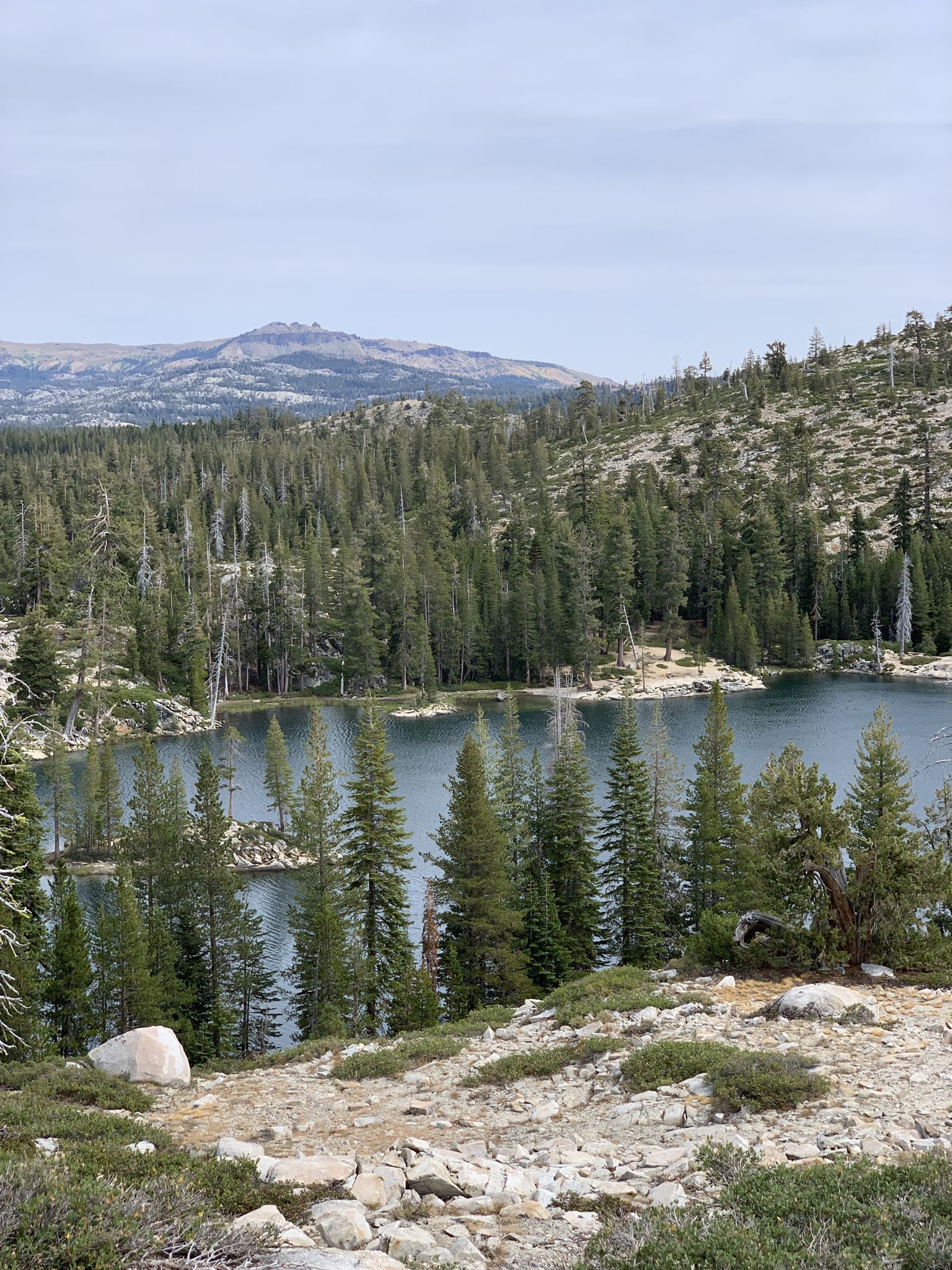 A serene lake surrounded by dense pine forests under an overcast sky. - Palisades Creek Trail