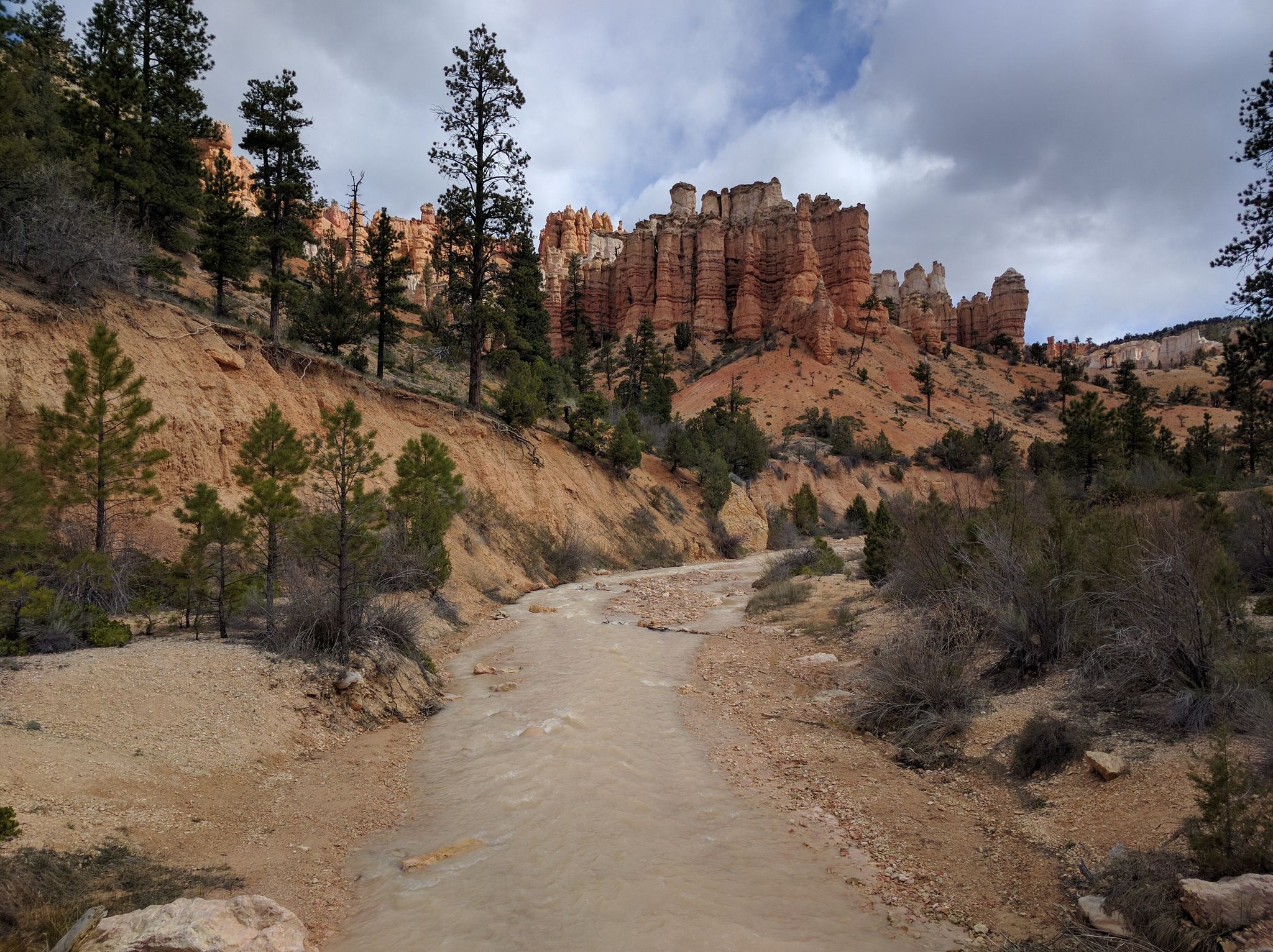 Muddy stream flowing through a canyon with red rock formations and pine trees. - Mossy Cave Trail
