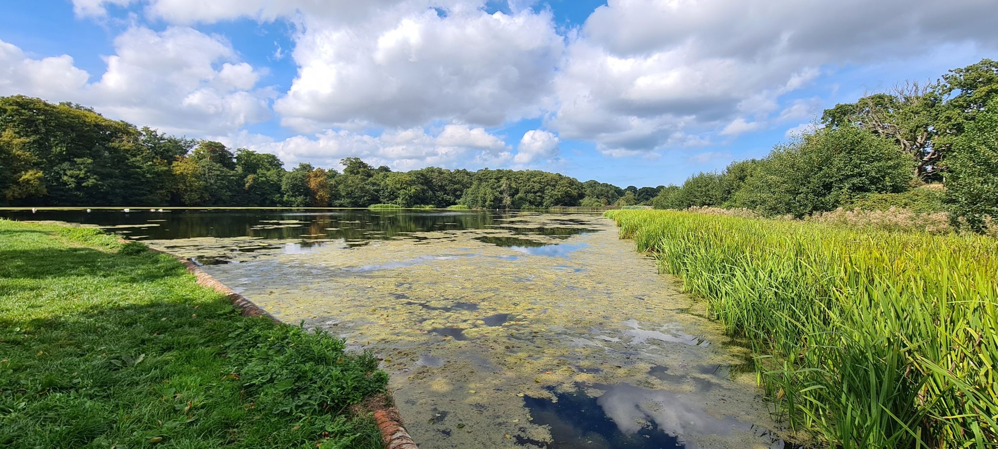Felbrigg lake