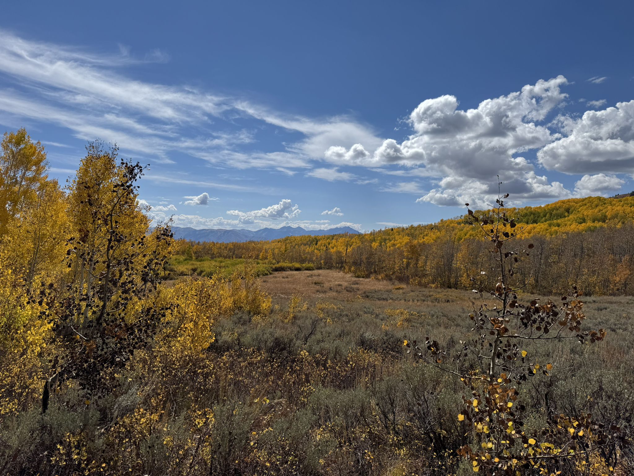 Vast autumn landscape with golden trees, shrubs, and distant mountains under a cloudy sky. - Upper WOW
