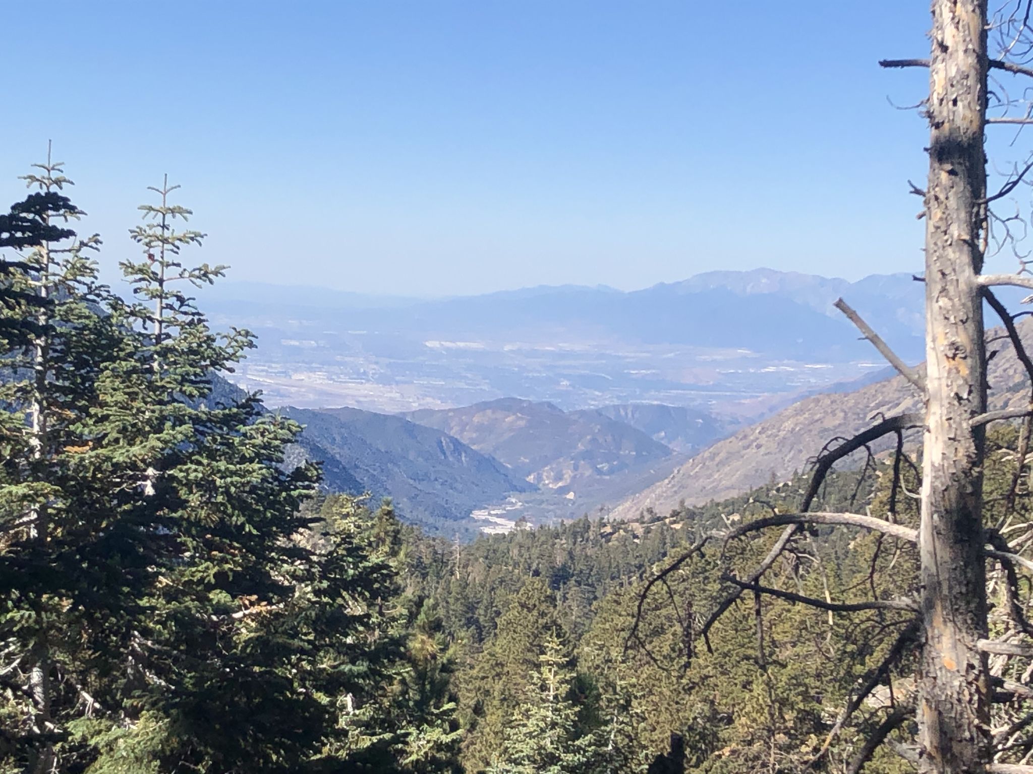 Pine trees frame a wide valley view with distant hazy mountains. - Vivian Creek Trail loop from Restrooms