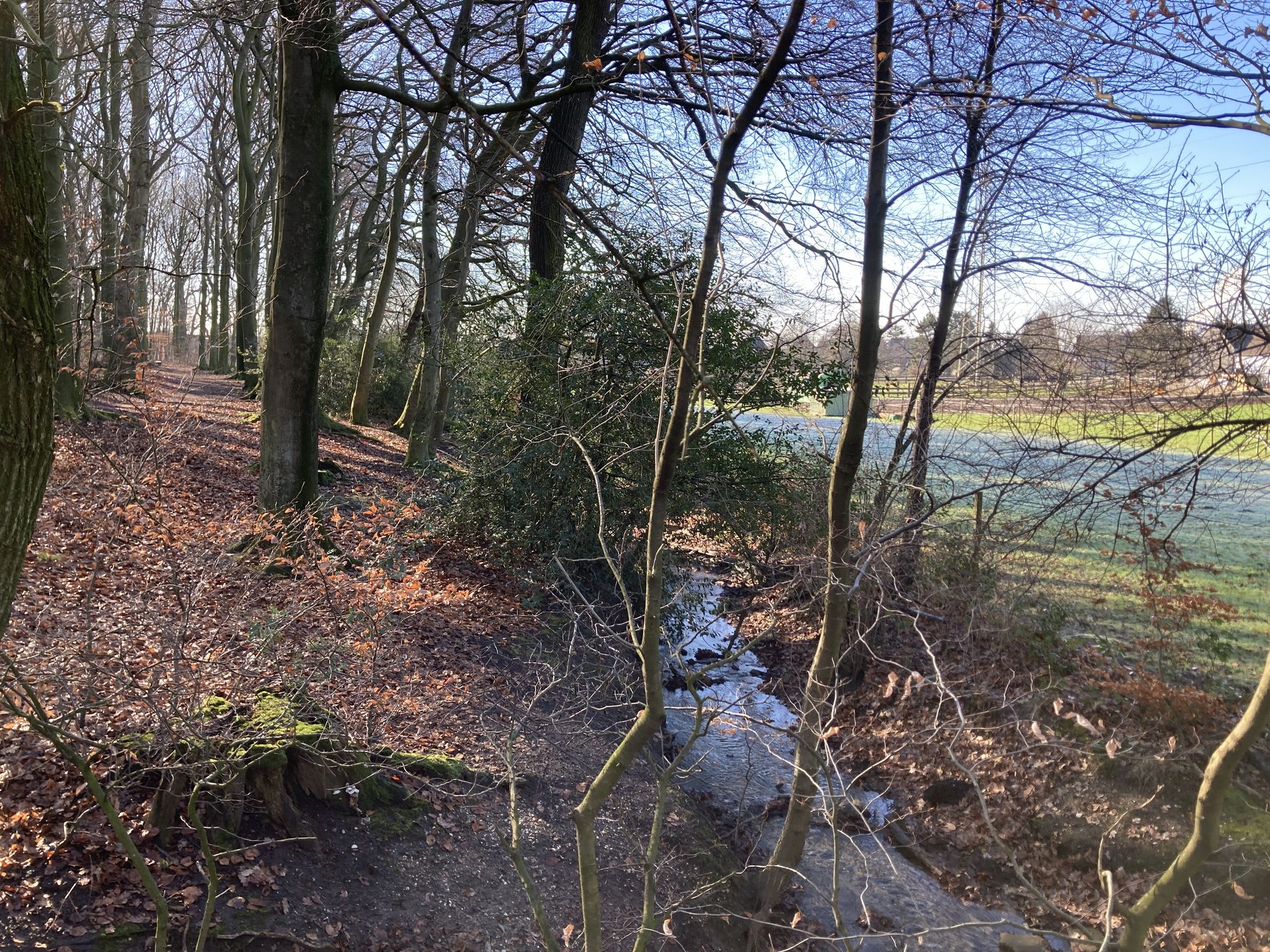 Handbach im Dunkelschlag