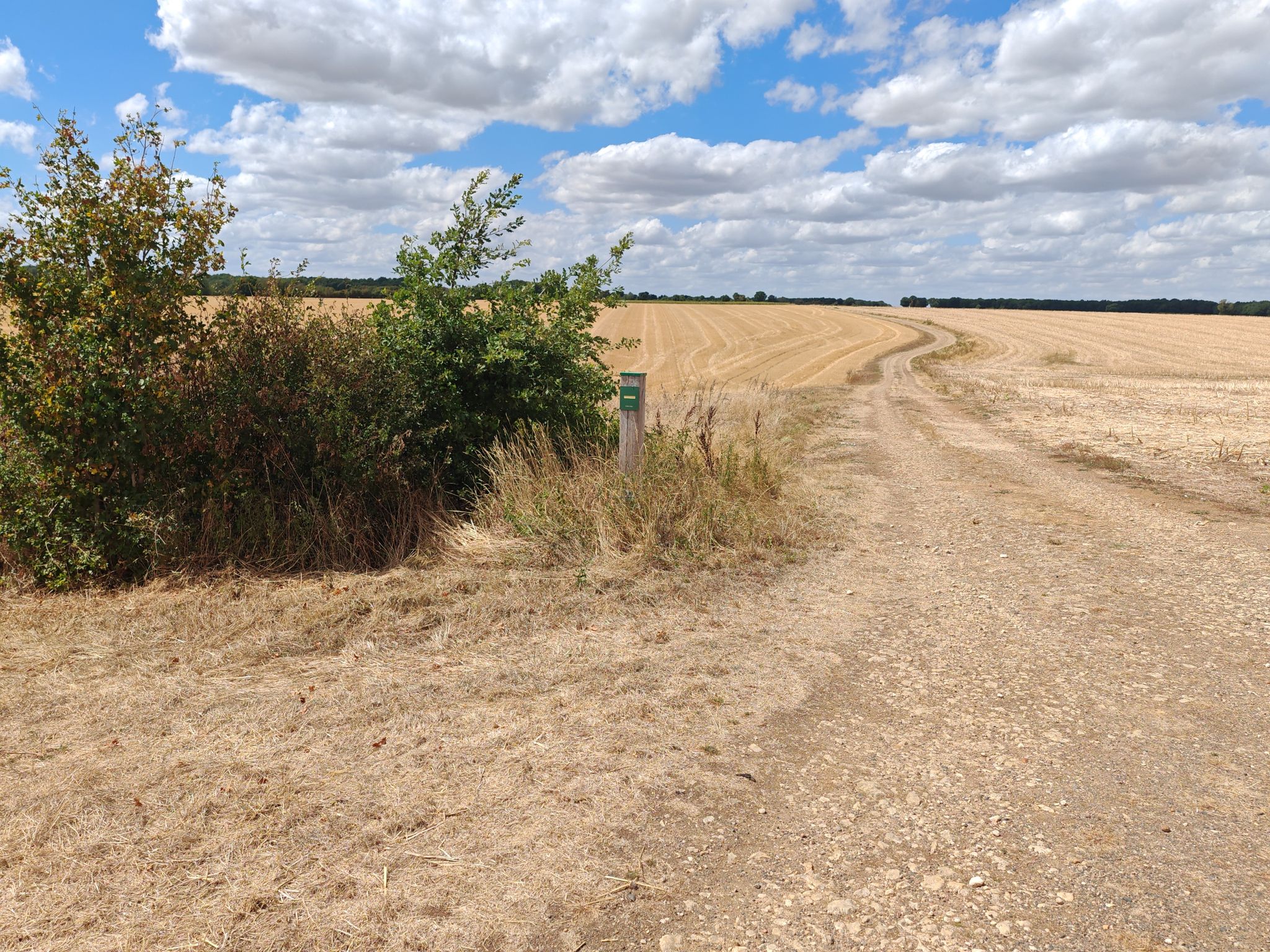 Chemin 