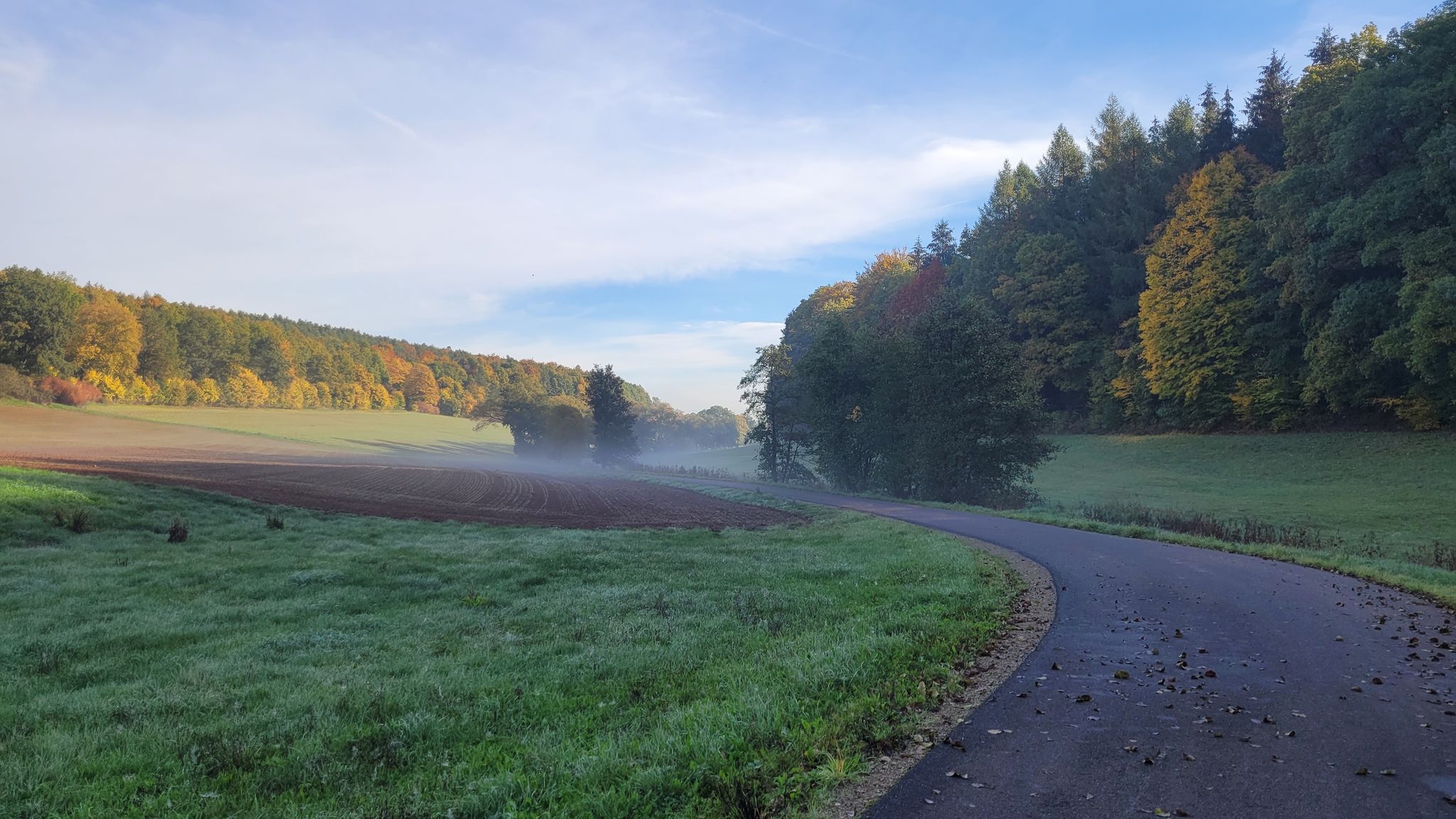 Gieseltalradweg