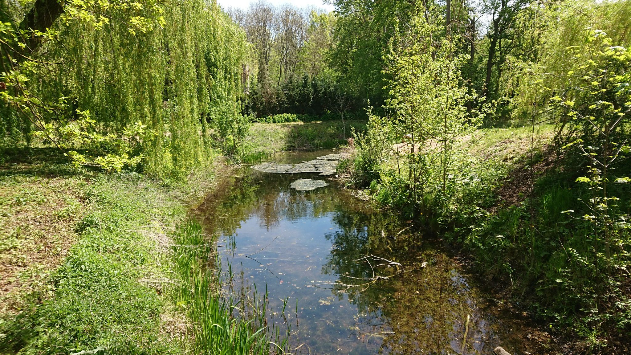 Schlossgraben