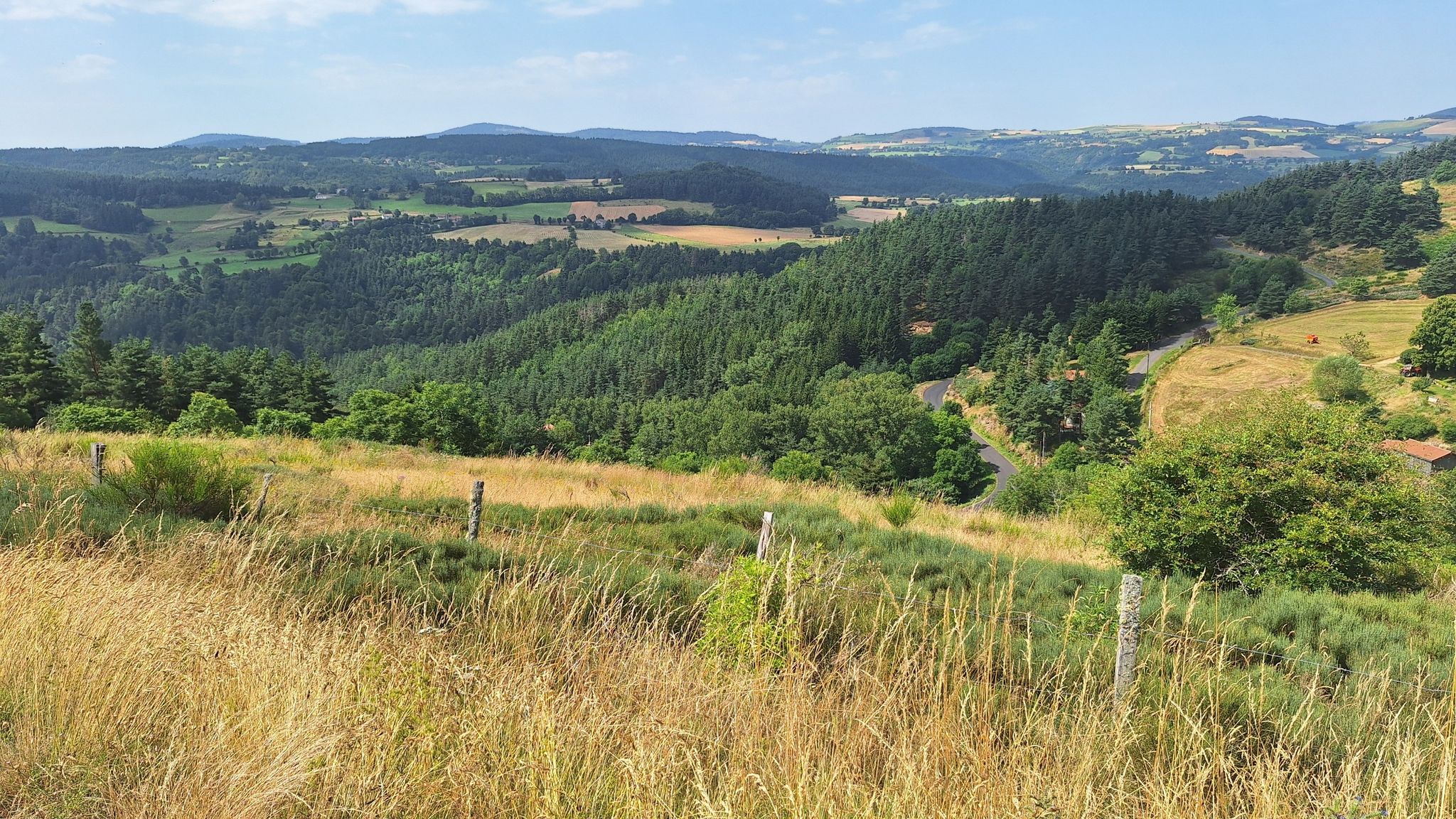 Paysage de Haute-Loire, quelques arbres dans la vallée de La Loire.