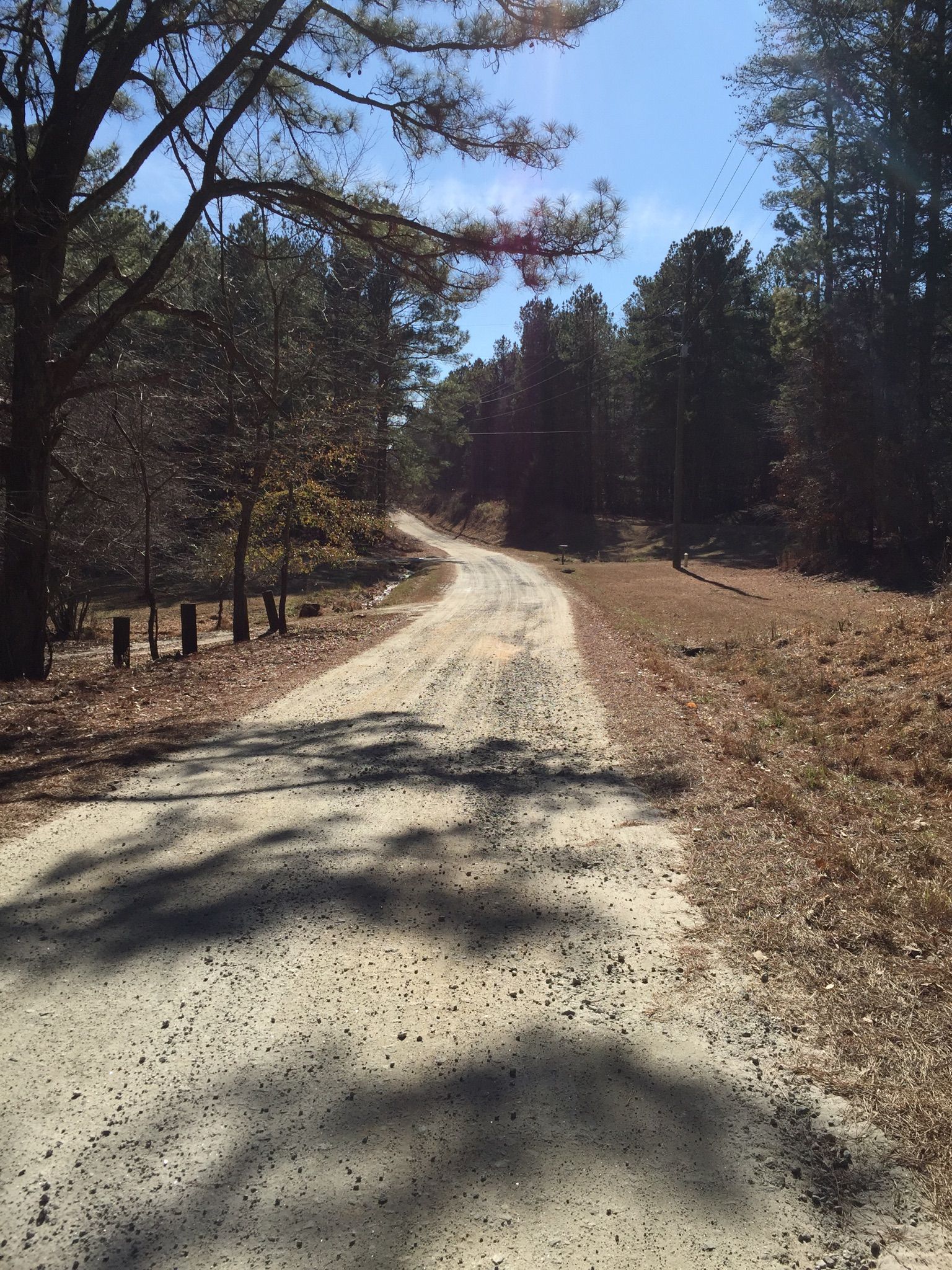 Sunny gravel road curving through a forest with long tree shadows. - Cochran Mill Park via Rico Tatum Road & Vernon Grove Road loop