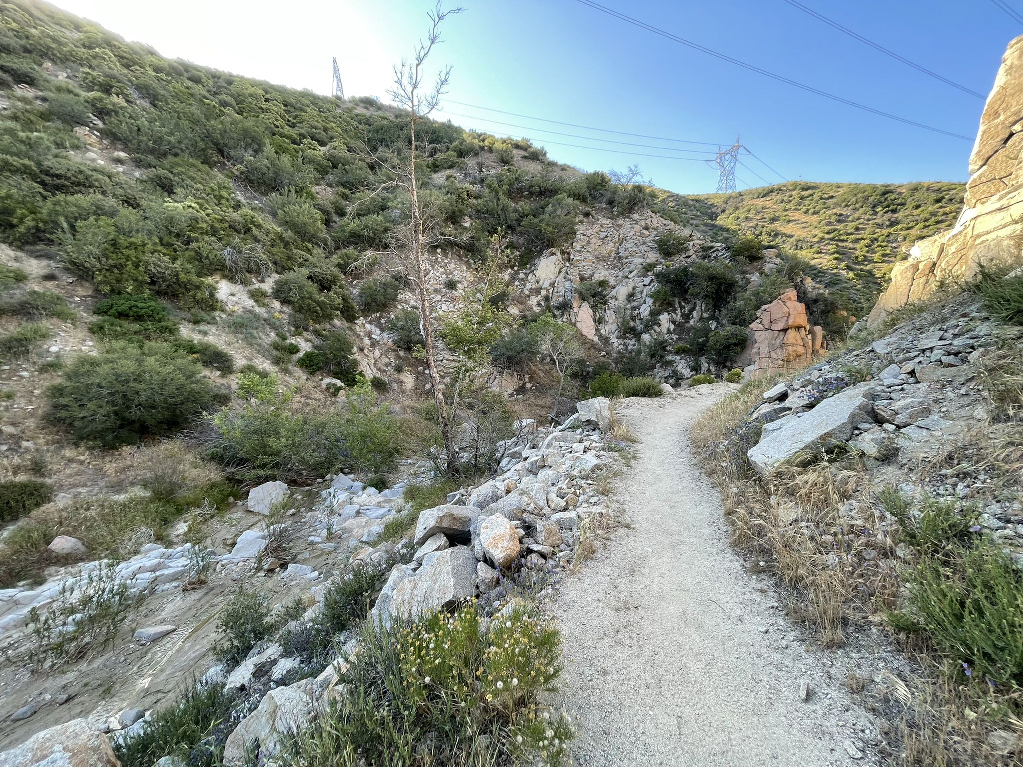 Dirt path winds through arid, rocky hills under clear skies. - Pacific Crest Trail to Crowder Canyon