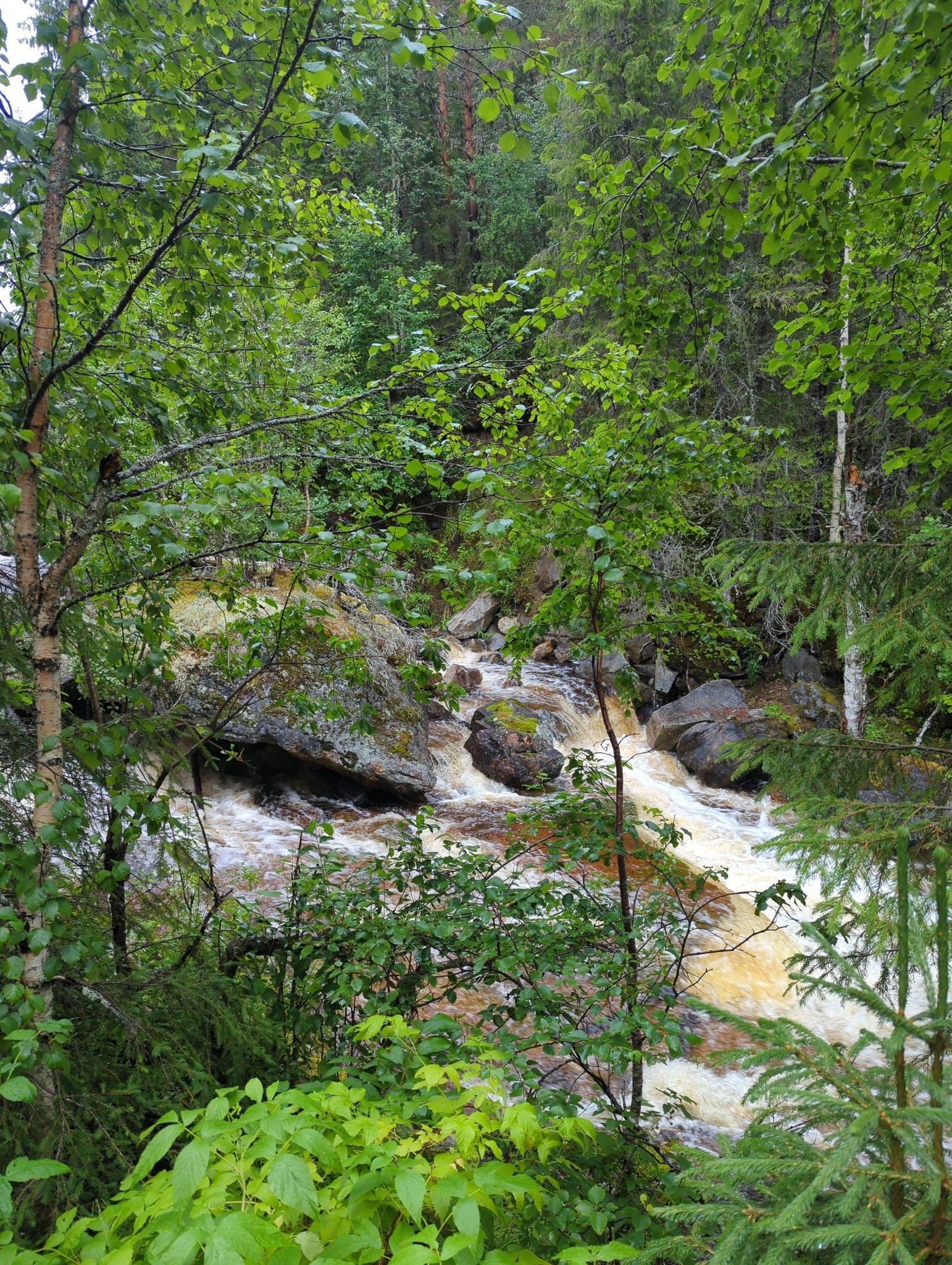 Bachlauf