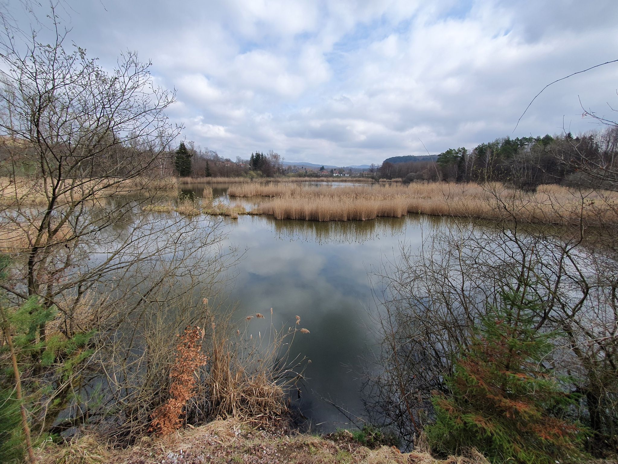Kranichteich mit Blick auf Neuhof