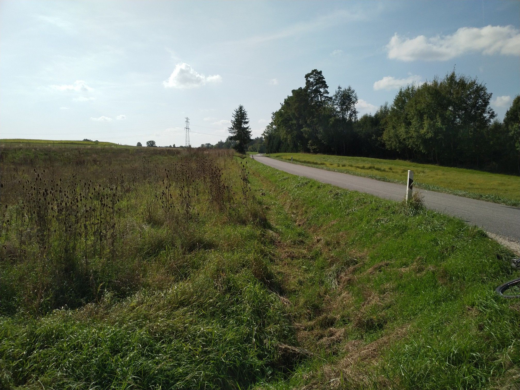 Verkehrsarme Straße bei Beutelhausen