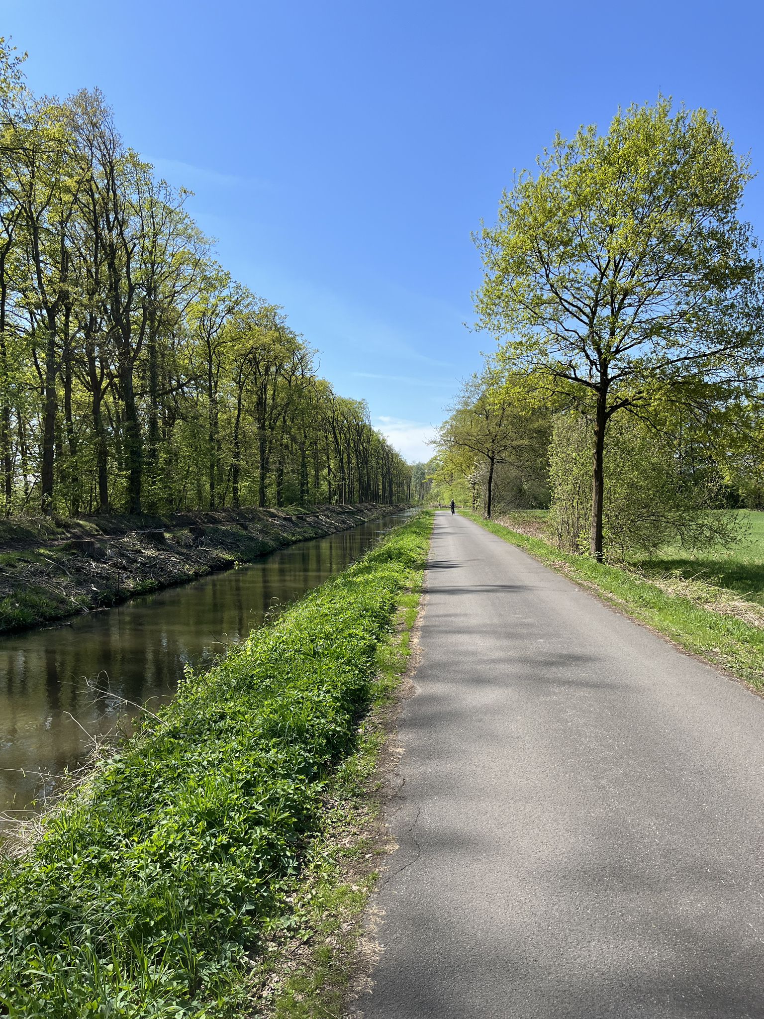 Radlers Traum vom Fahrradweg 🥰