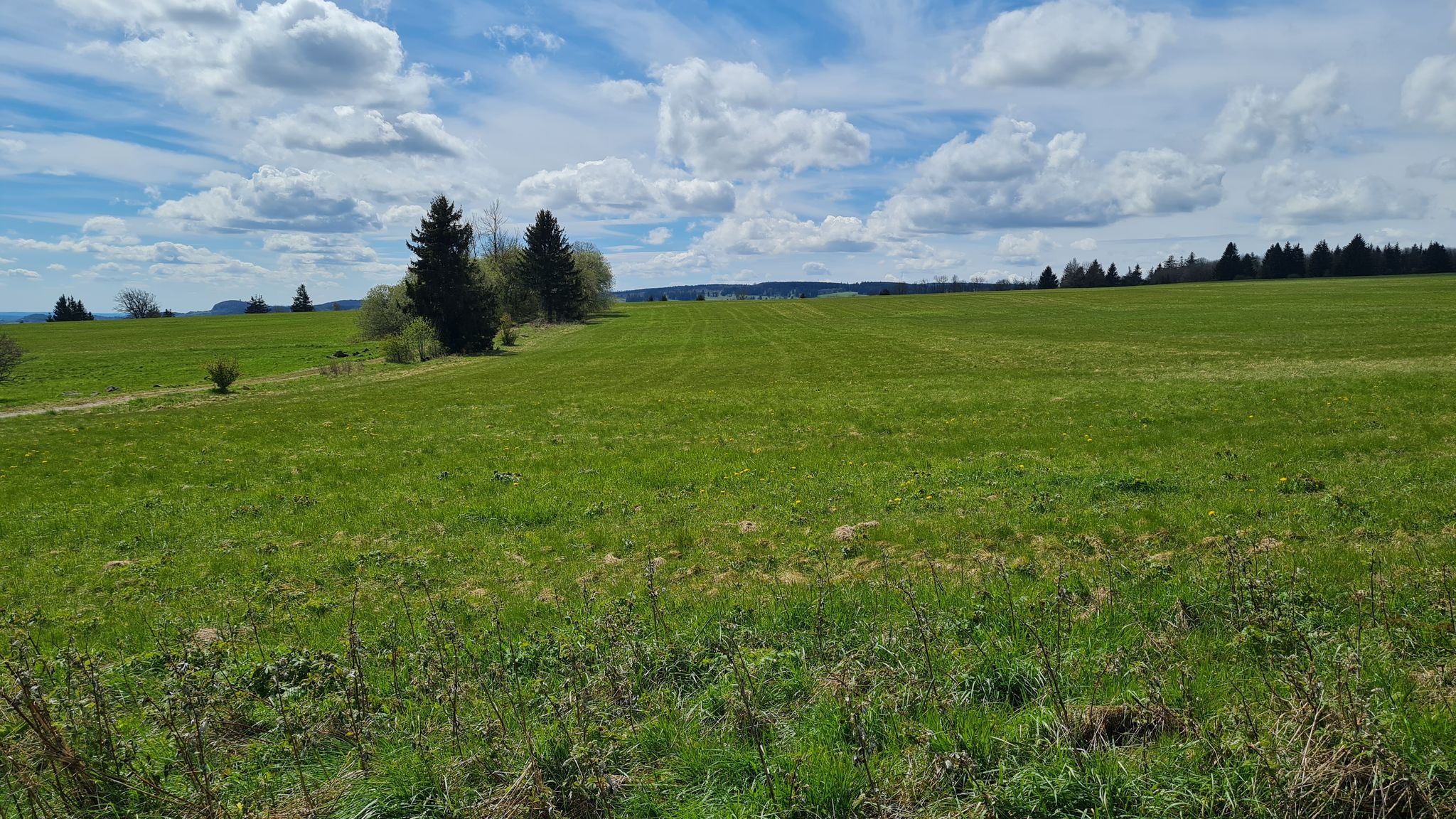 Der Aufstieg ist geschafft, jetzt geht es eben dahin