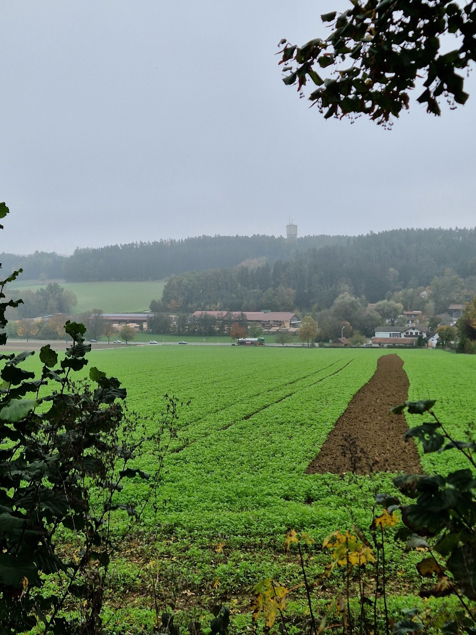 turm