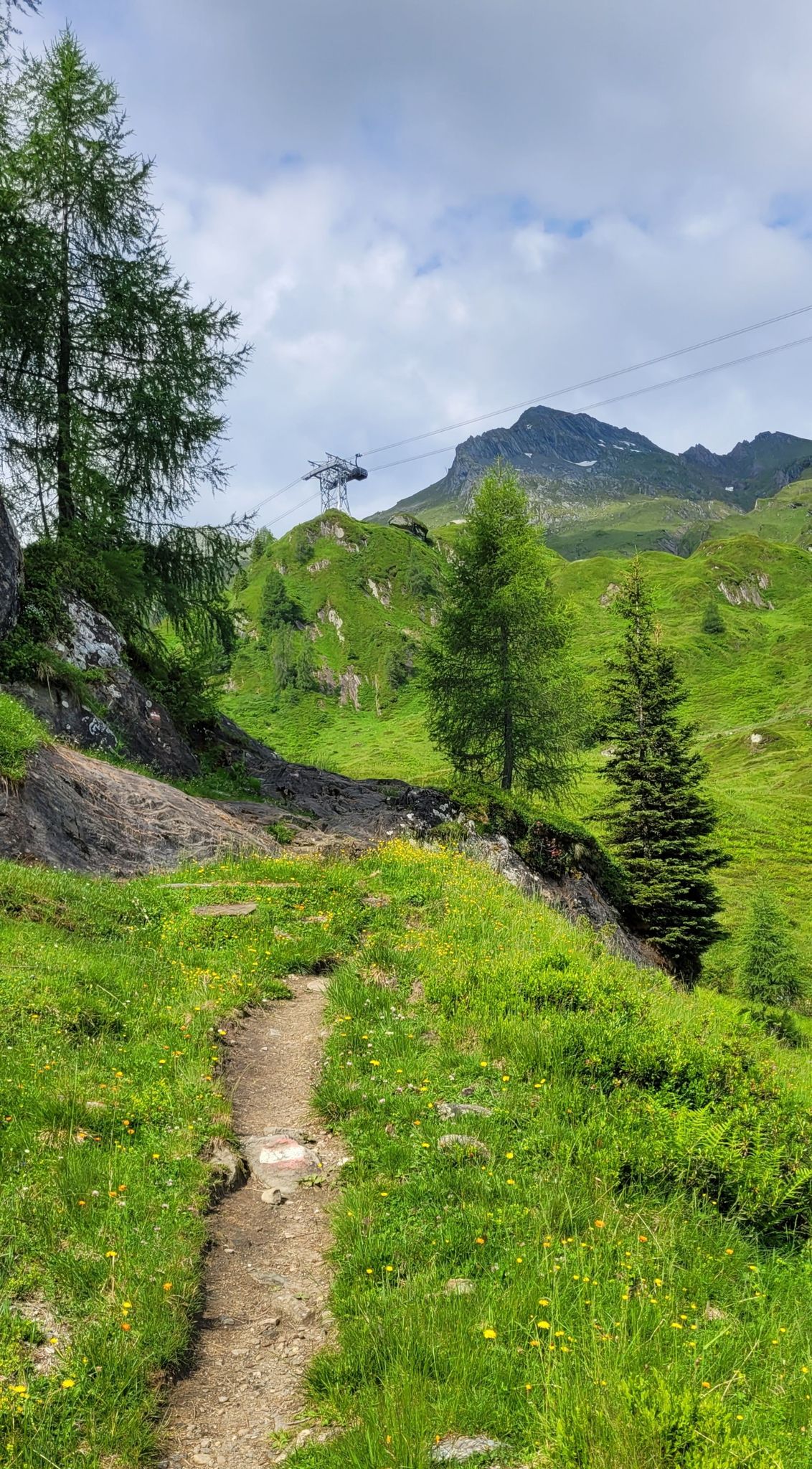 zwischen Eder Alm und Salzburger Hütte