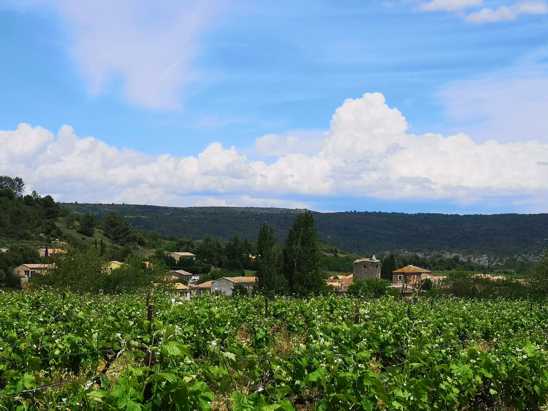 Rieux-en-Val